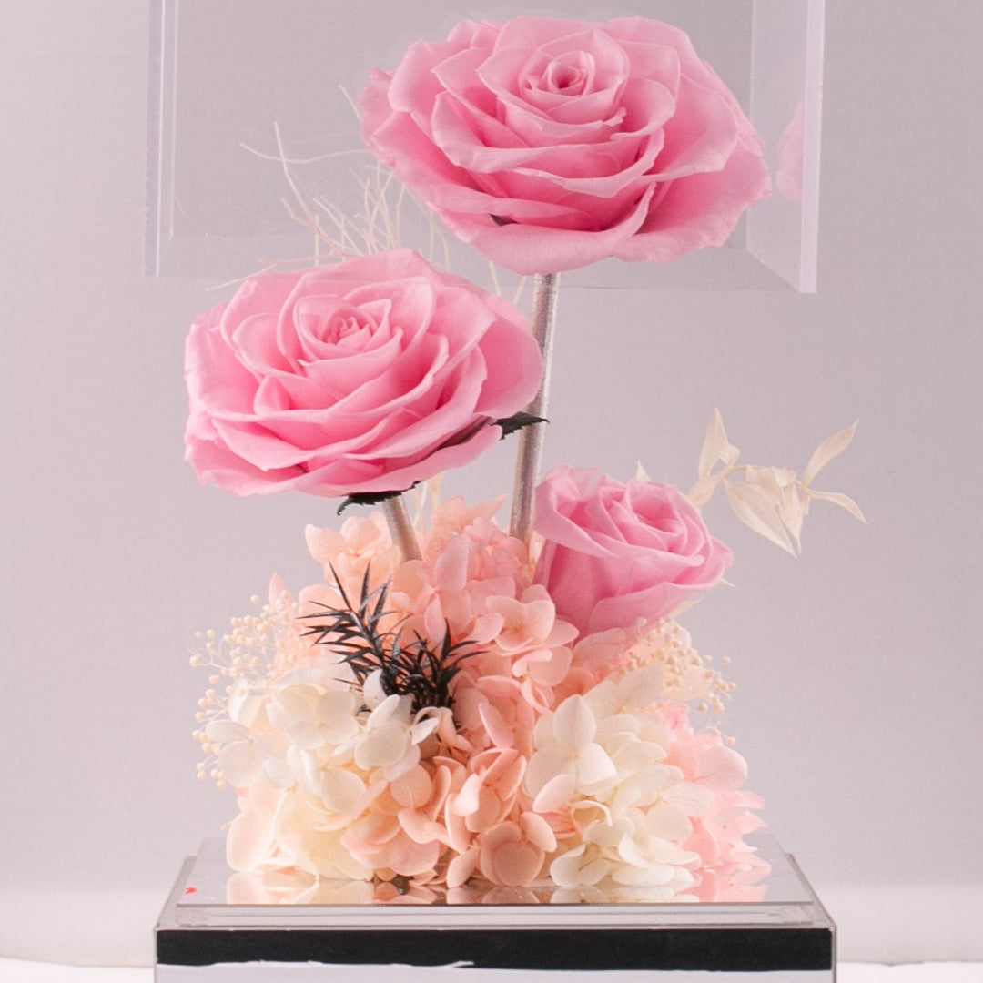 Eternal Blush Rose Box (Pink)