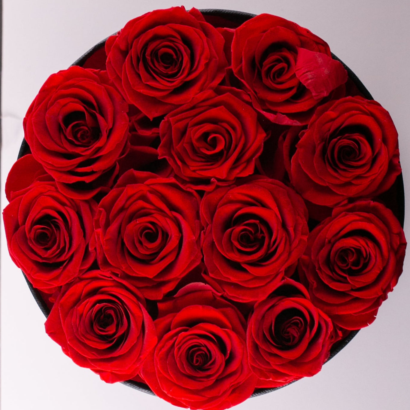 Eternal Grace Red