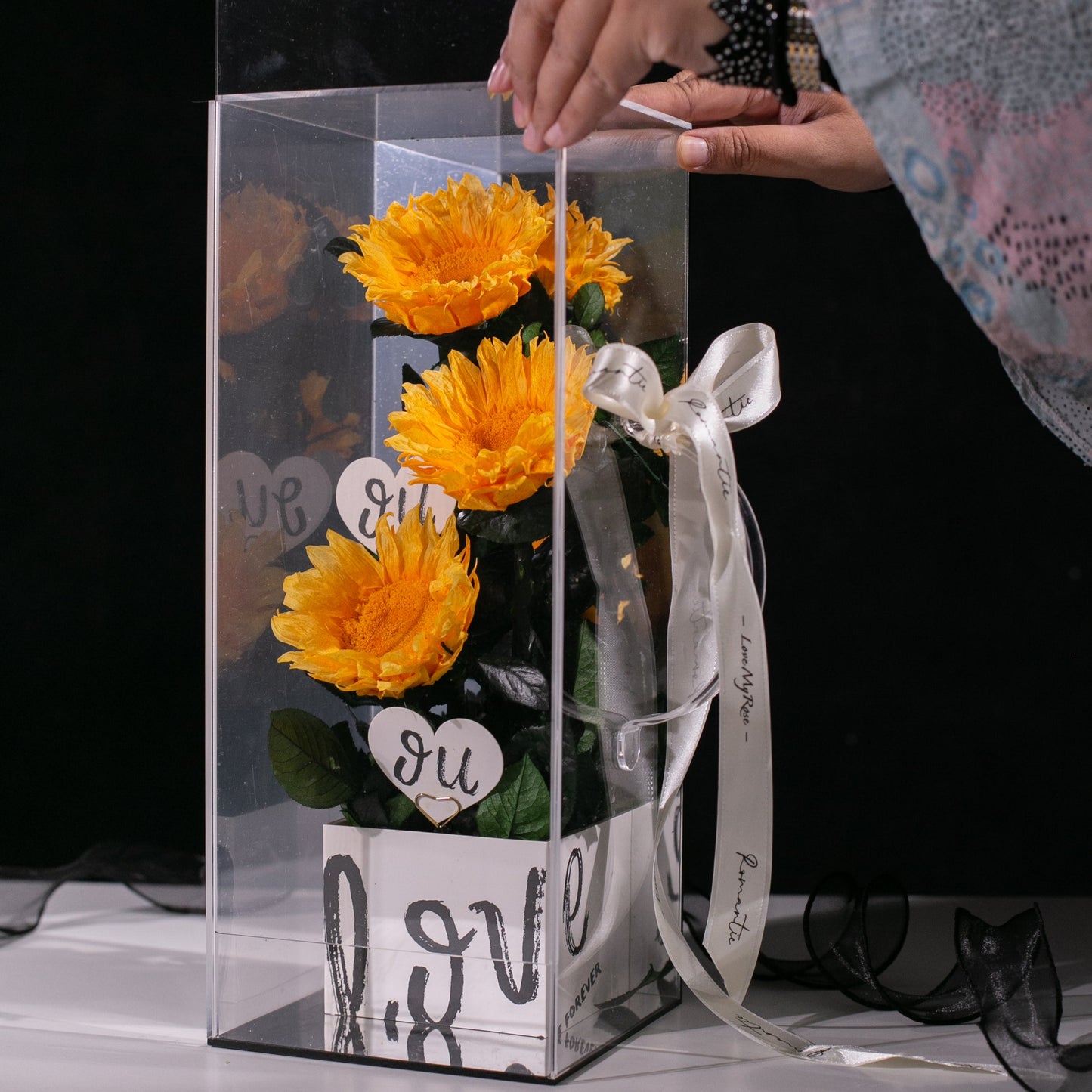 Triple Delight (Golden Sunflower)