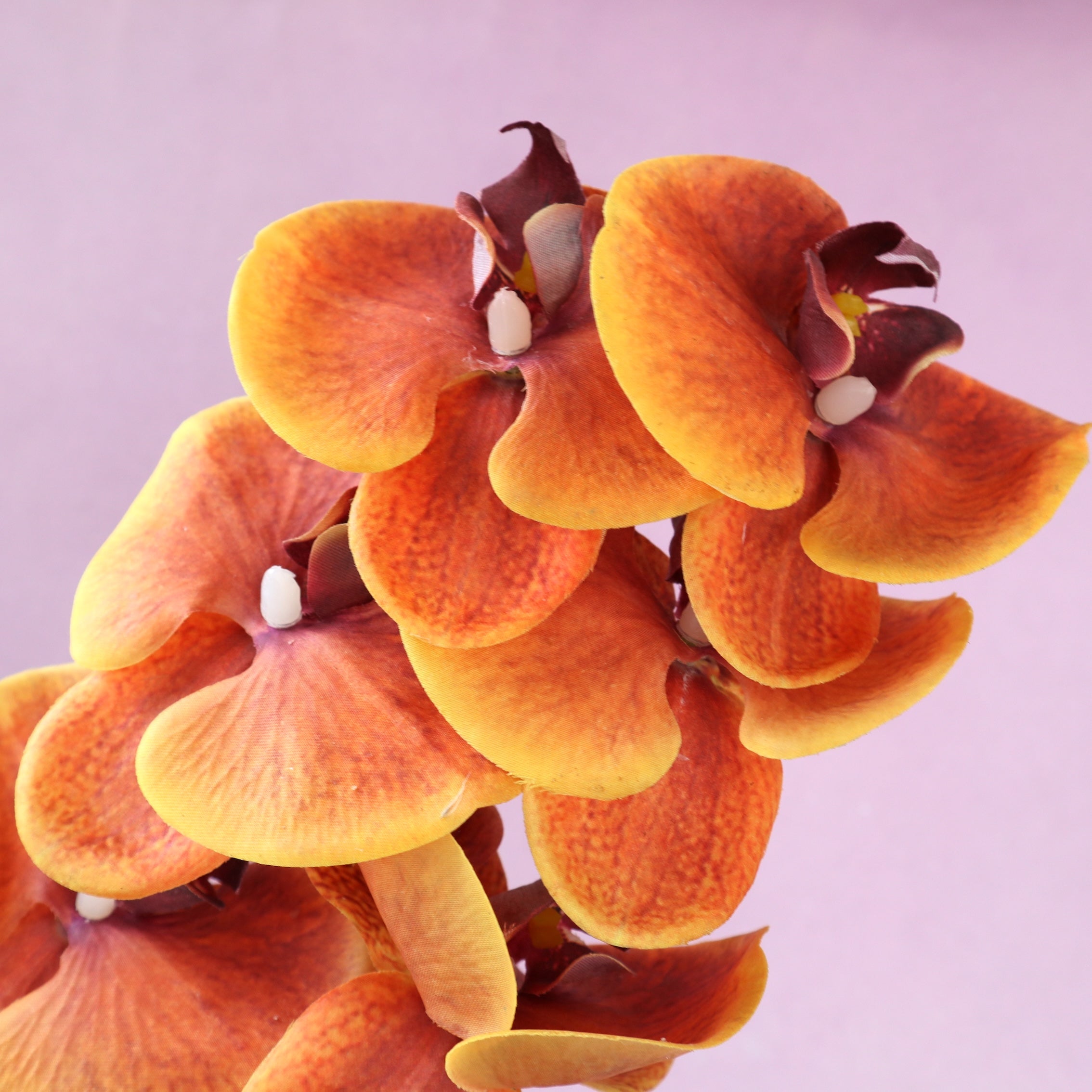 Artificial Real Touch Orchid (38)