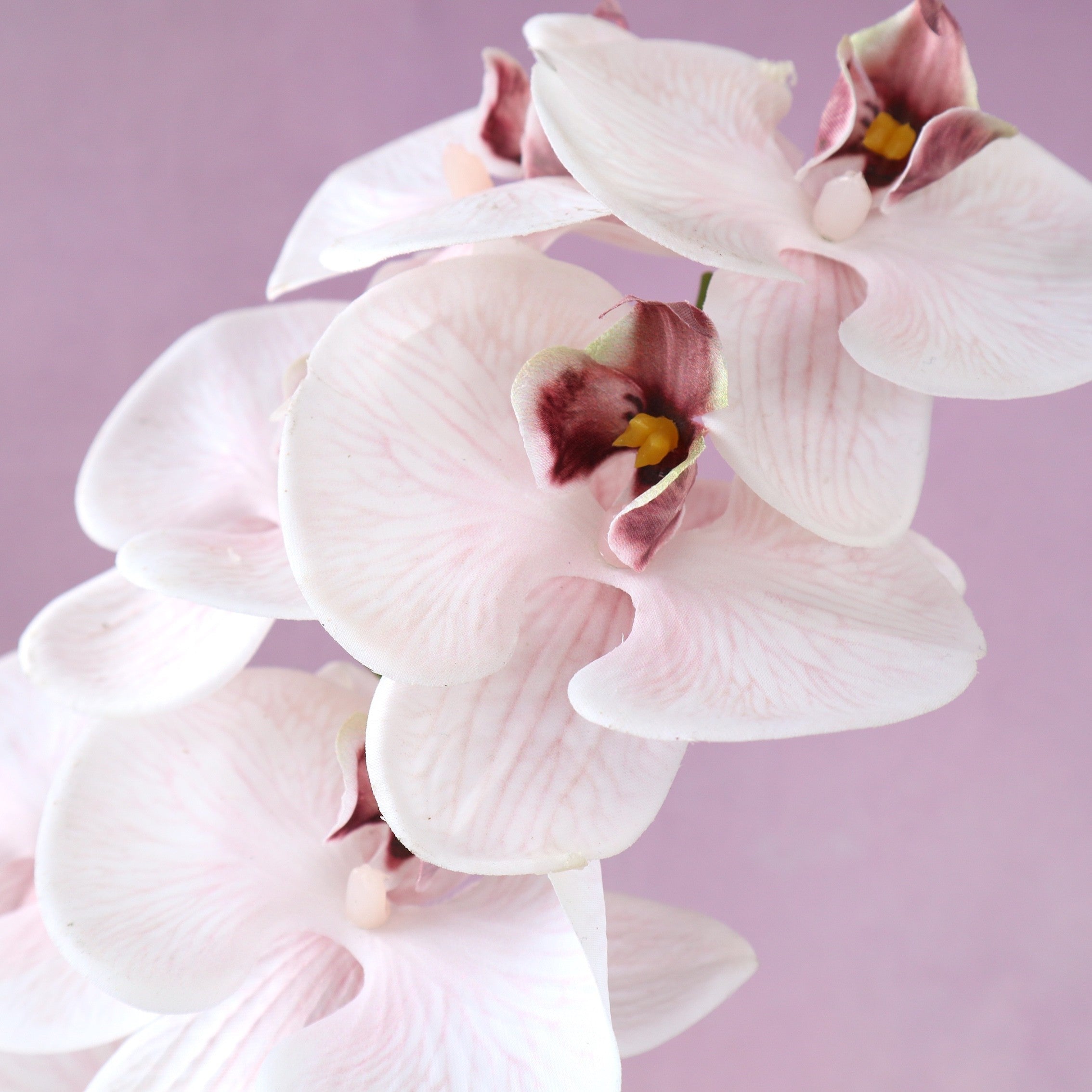 Artificial Real Touch Orchid (47)