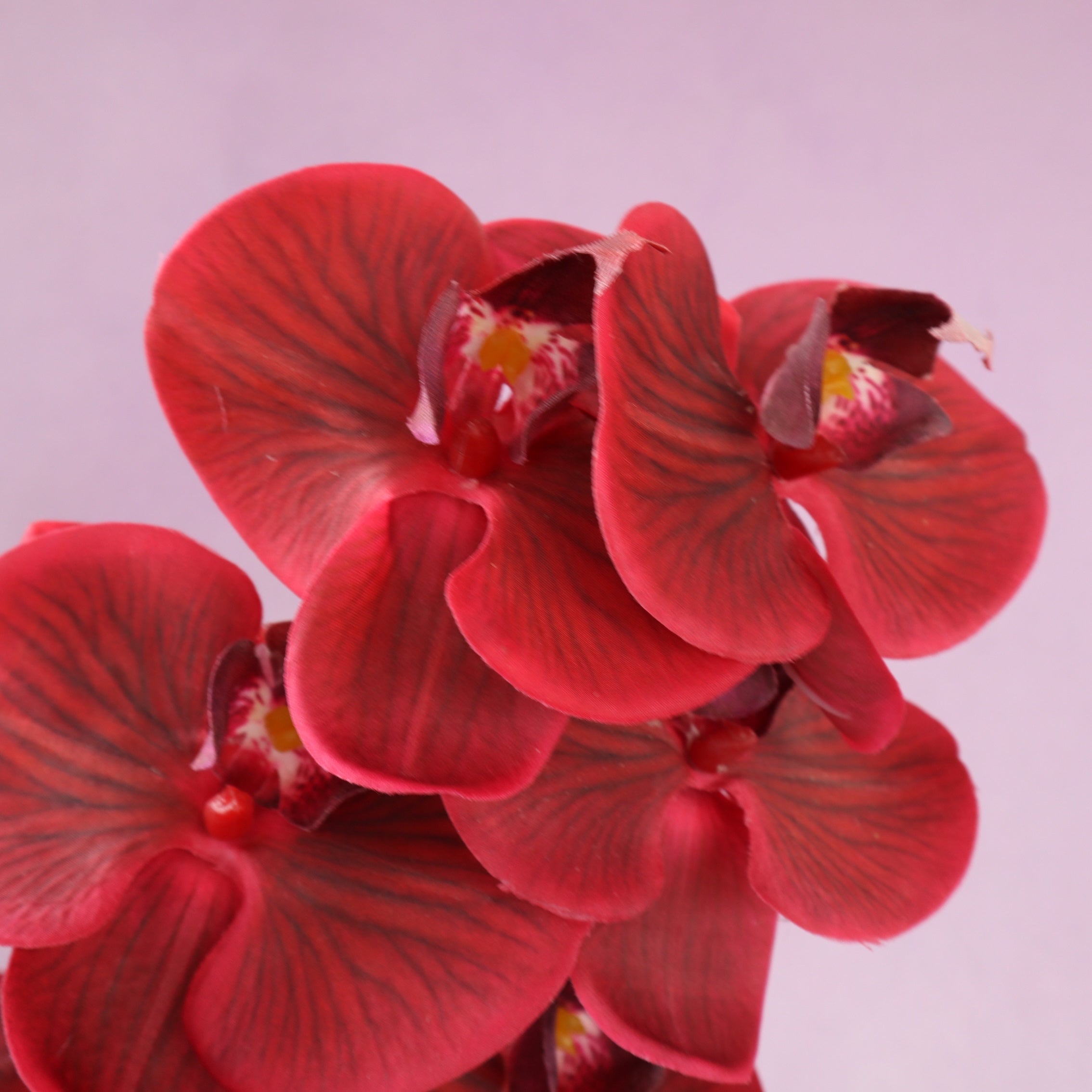 Artificial Real Touch Orchid (18)