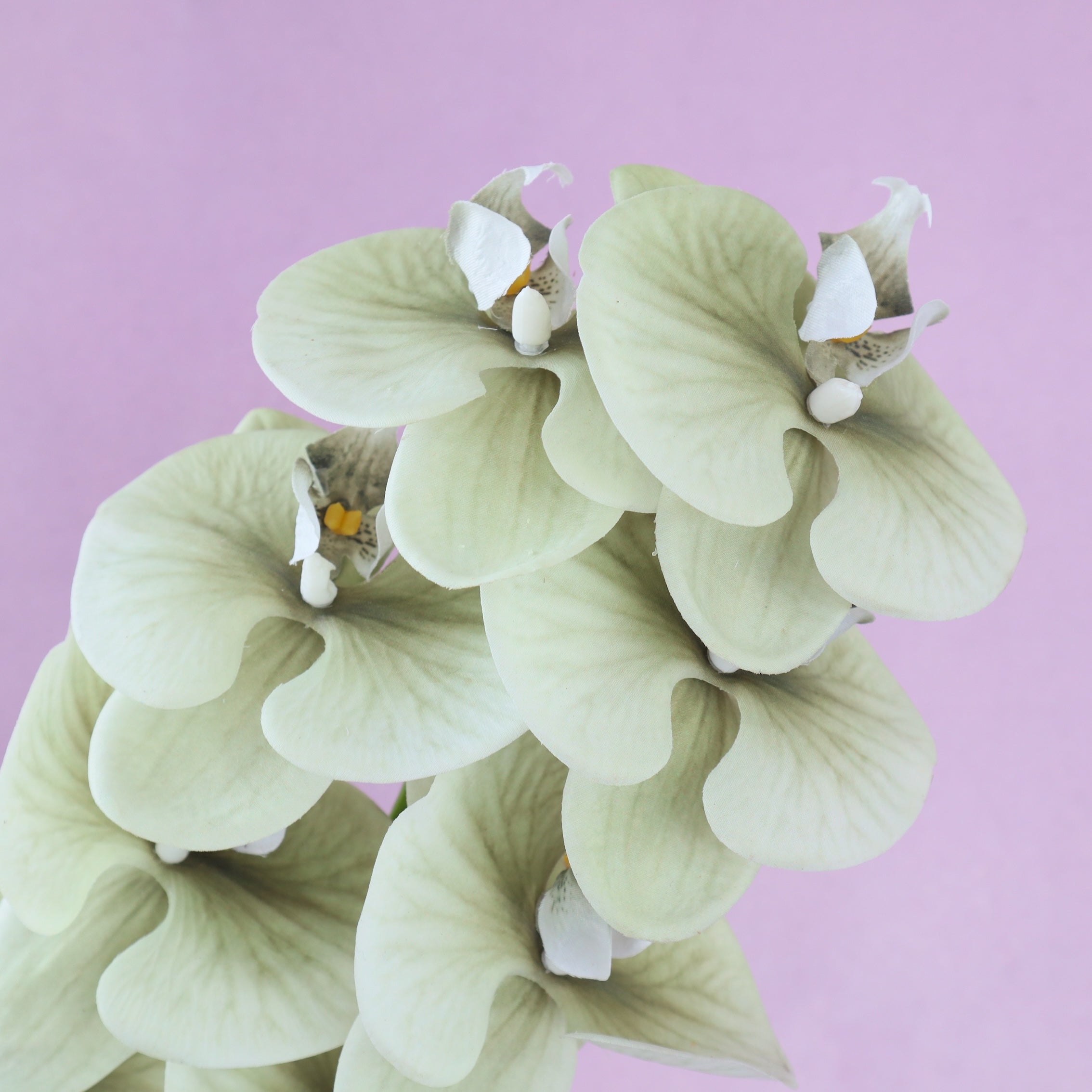 Artificial Real Touch Orchid (39)