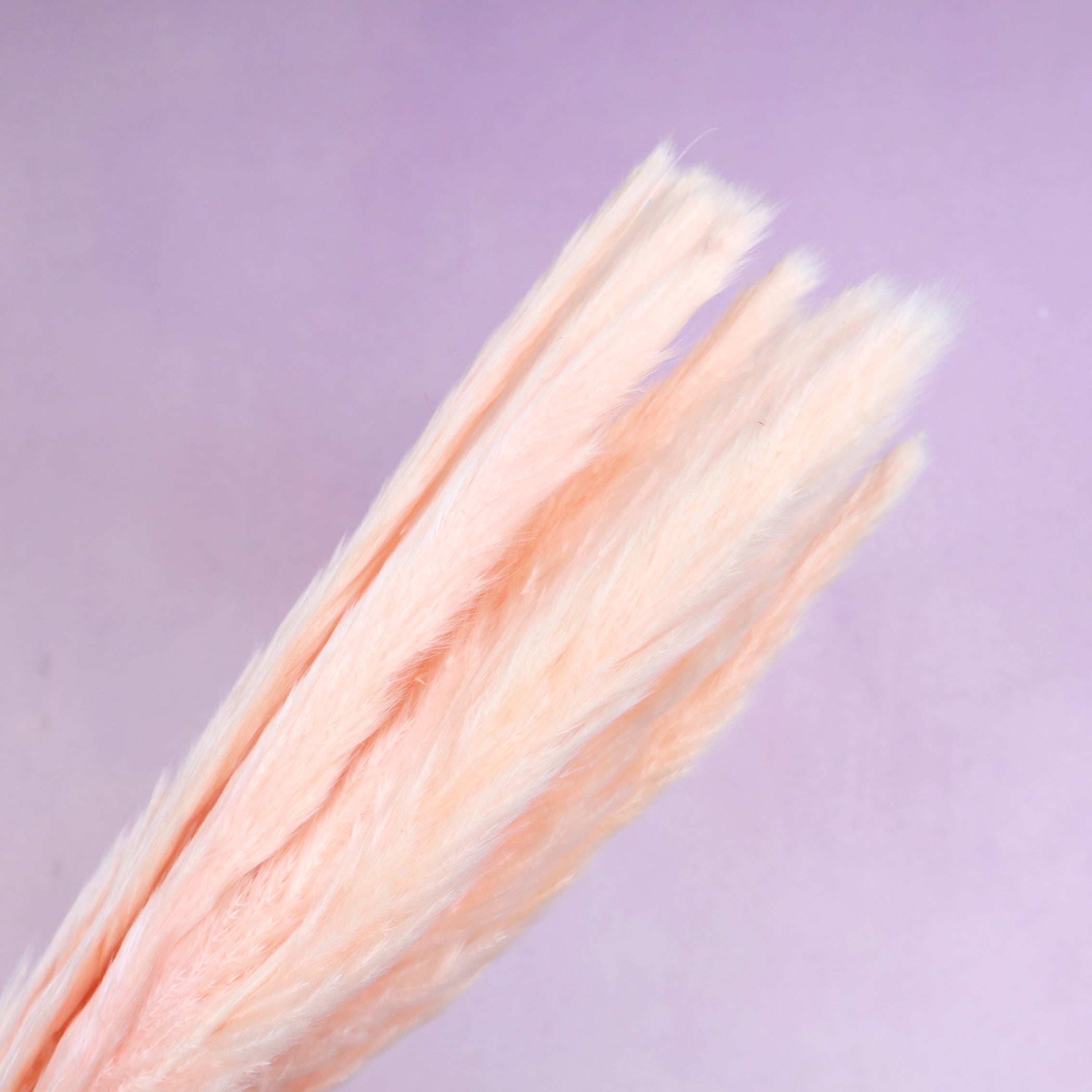 Fluffy Stick Light Peach