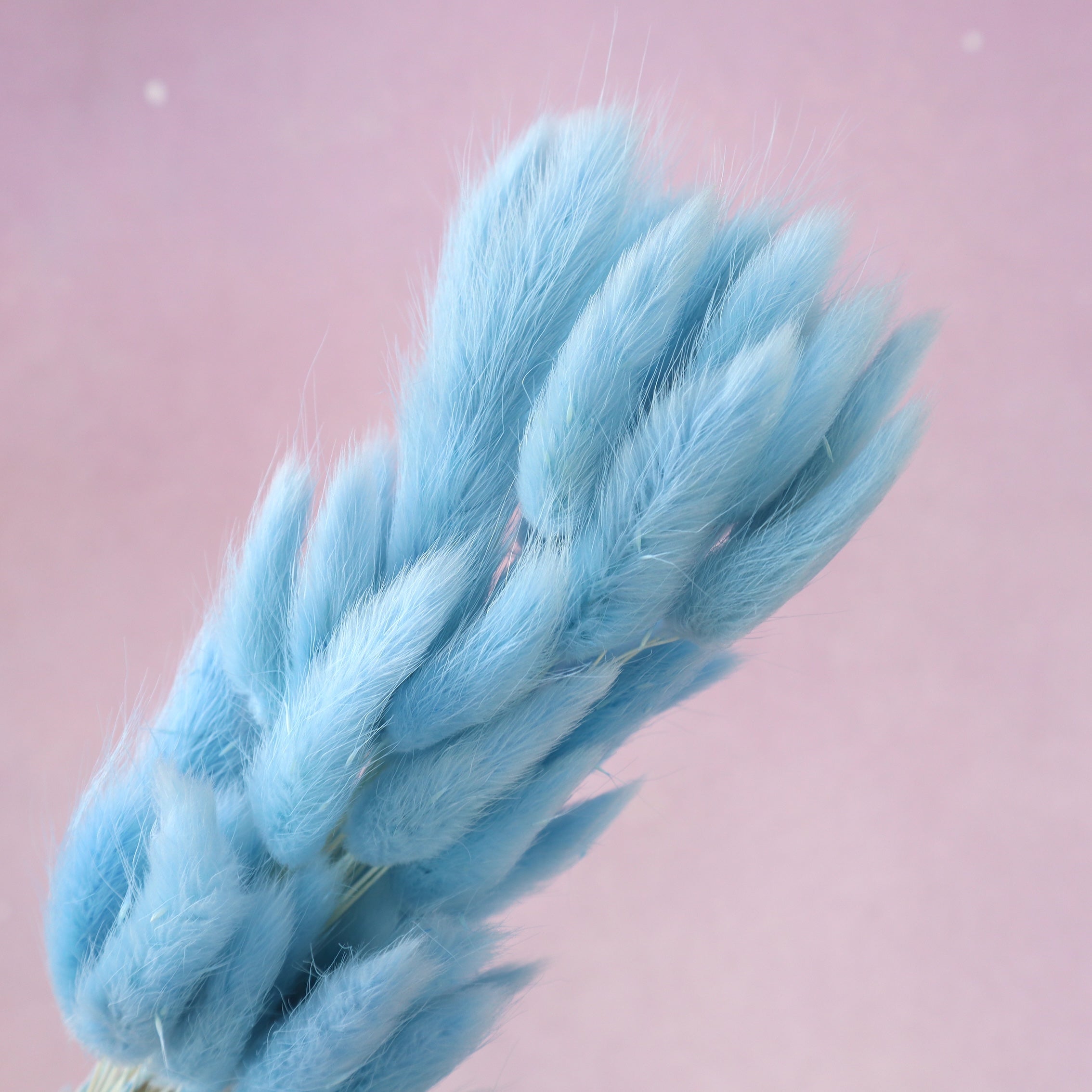 Bunny Tails Sky Blue