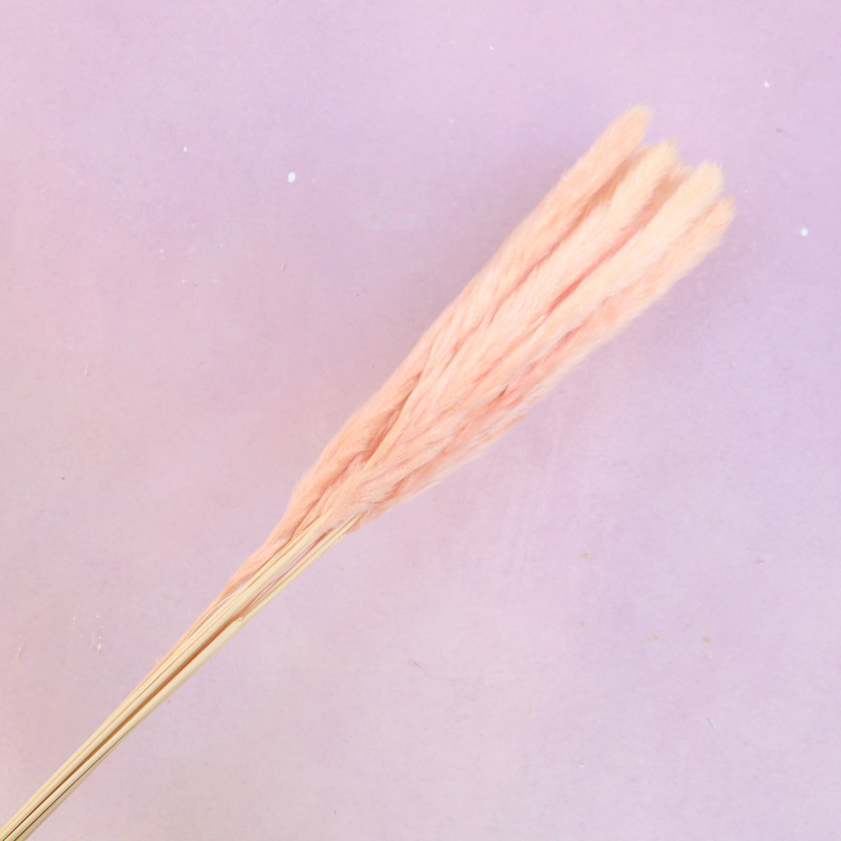 Fluffy Stick