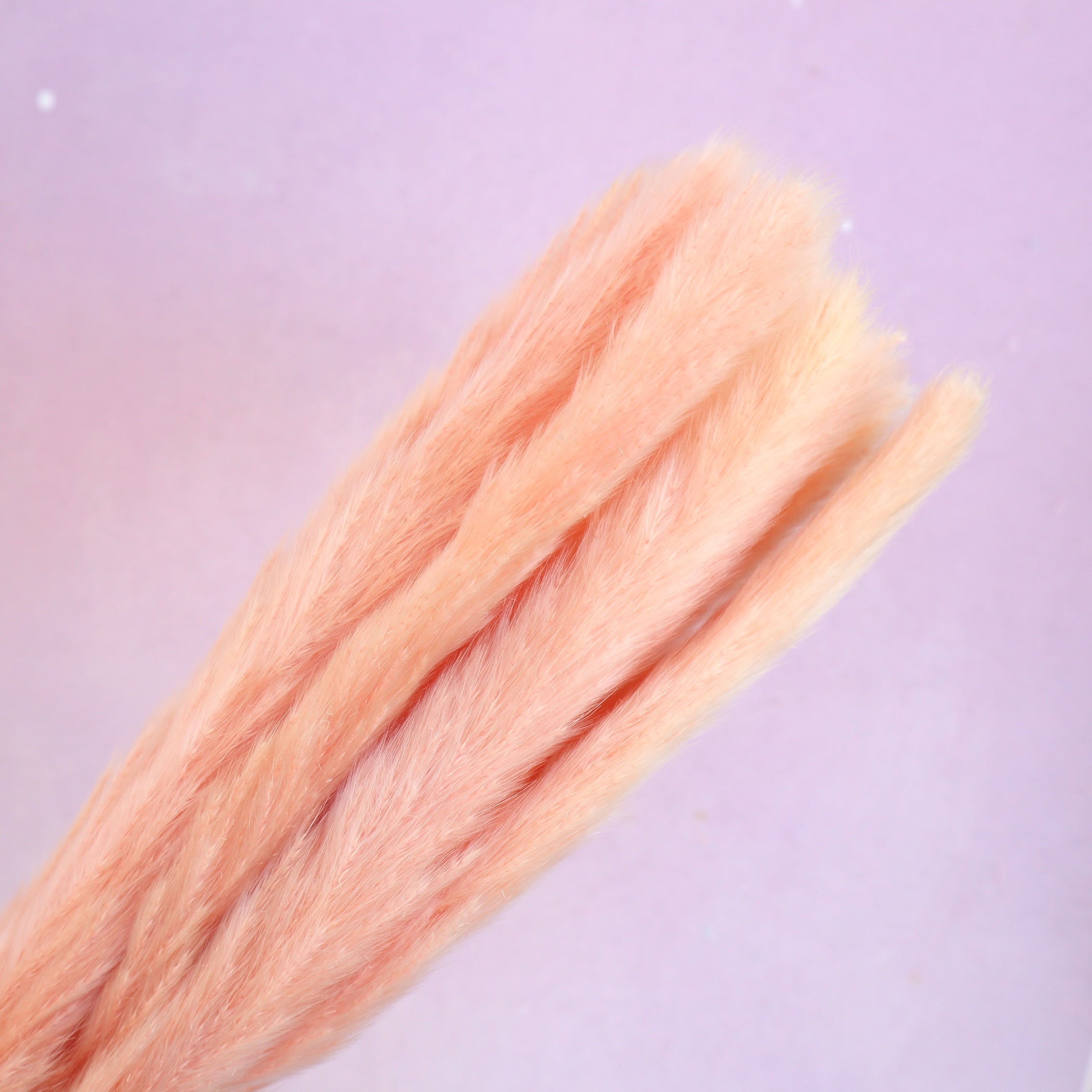 Fluffy Stick Coral Pink