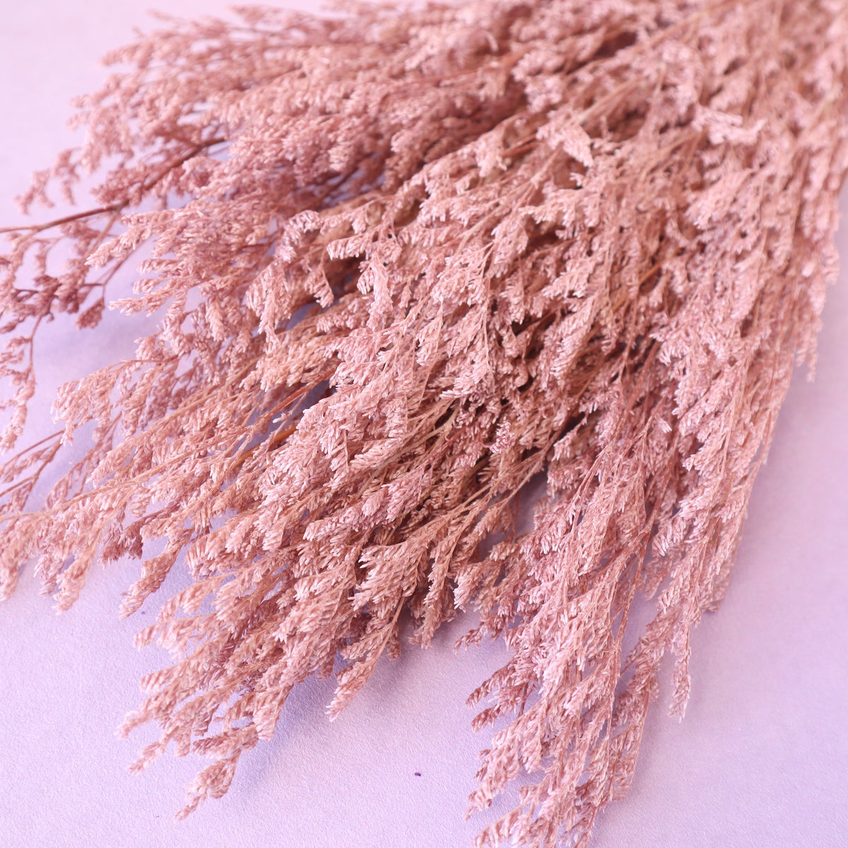 Misty Bleached Dusty Pink