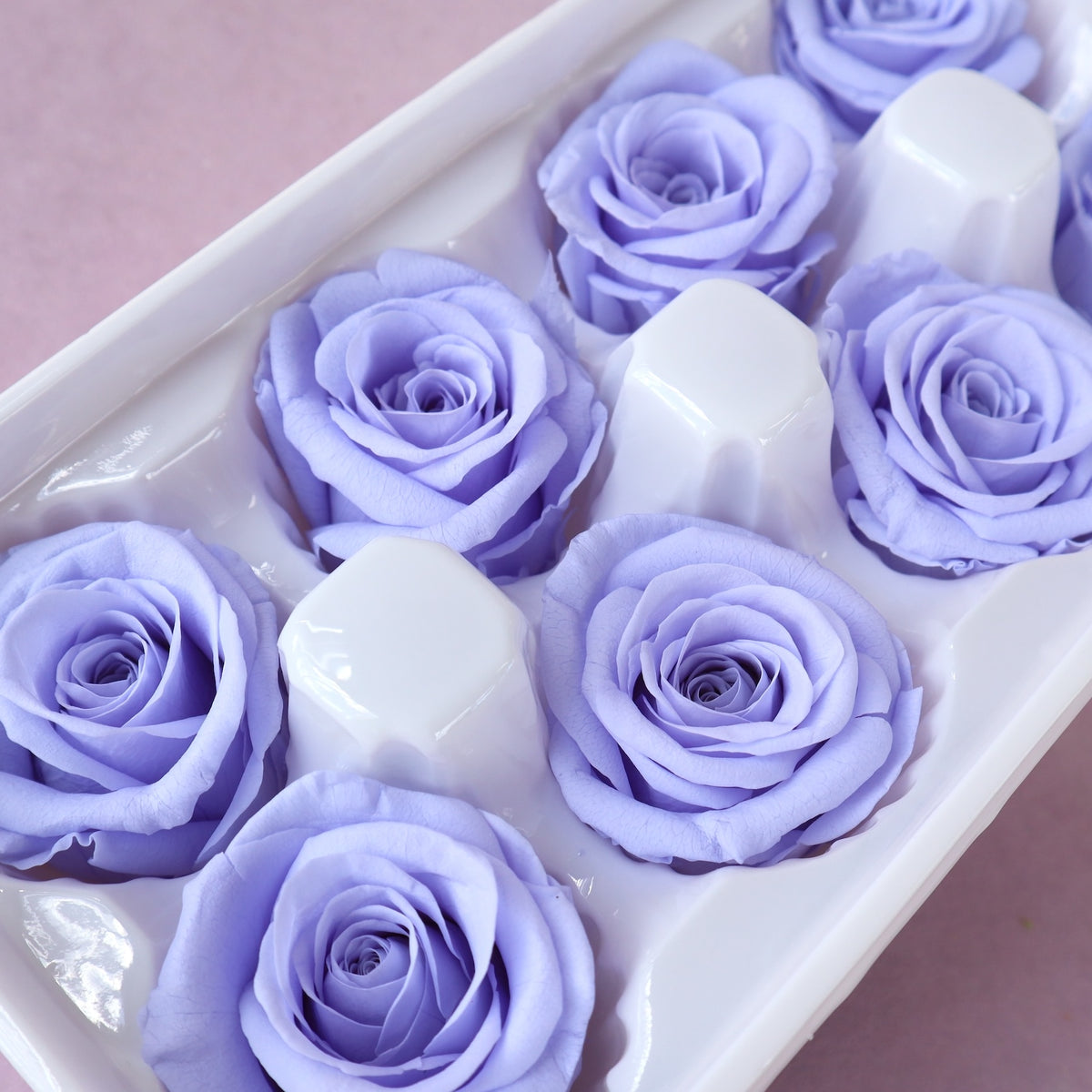 Rose Periwinkle Purple 8 heads
