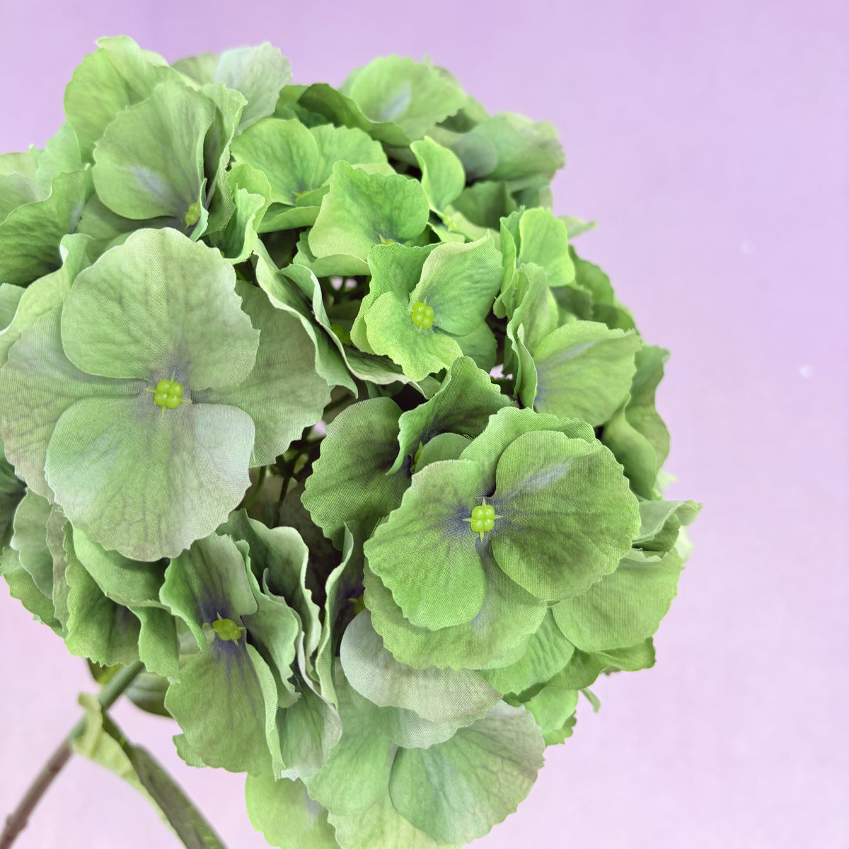 Silk Artificial Hydrangea Bigleaf Bright Green