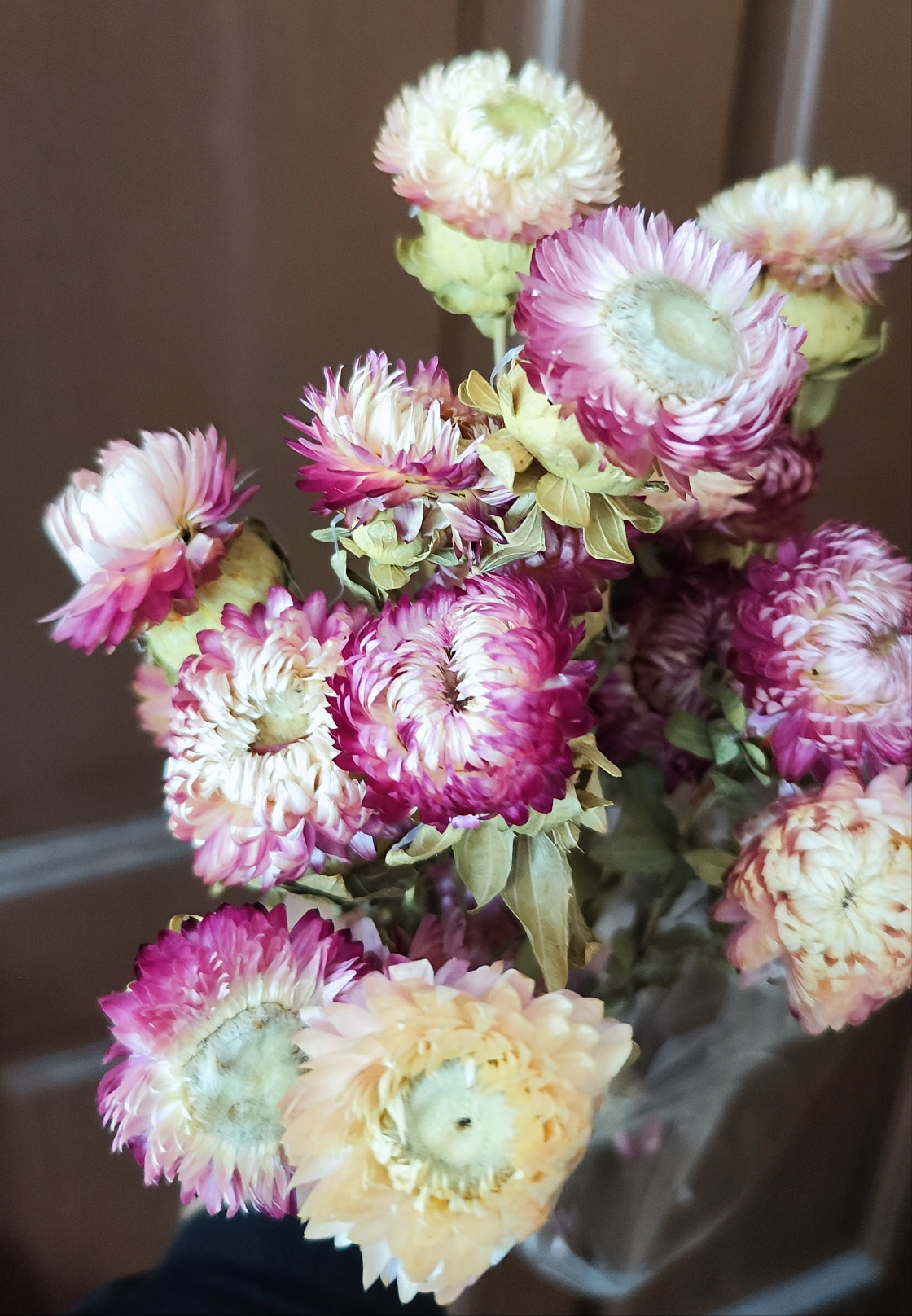 Preserved Strawflowers (mix of pink coloured flowers)