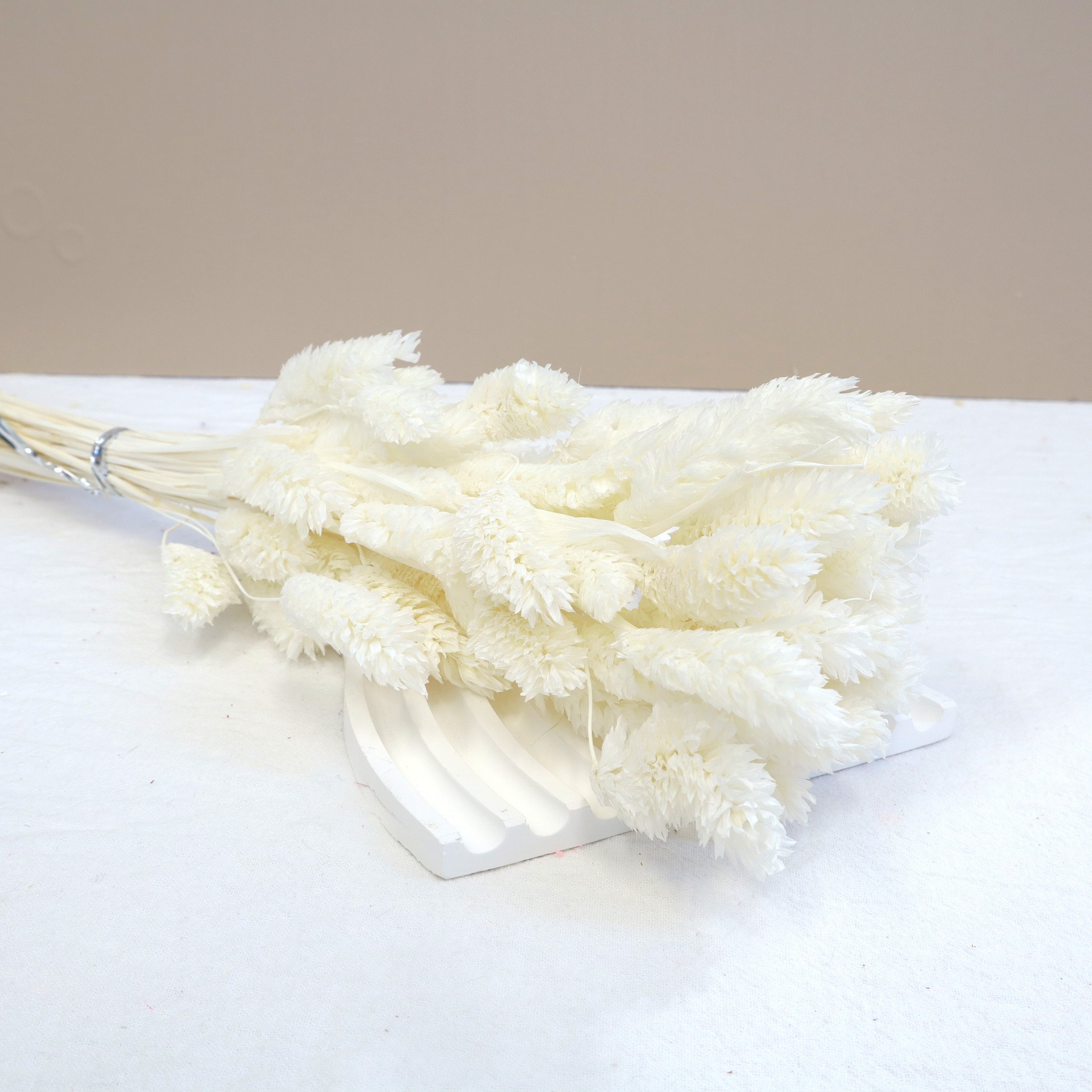 Gem Grass White