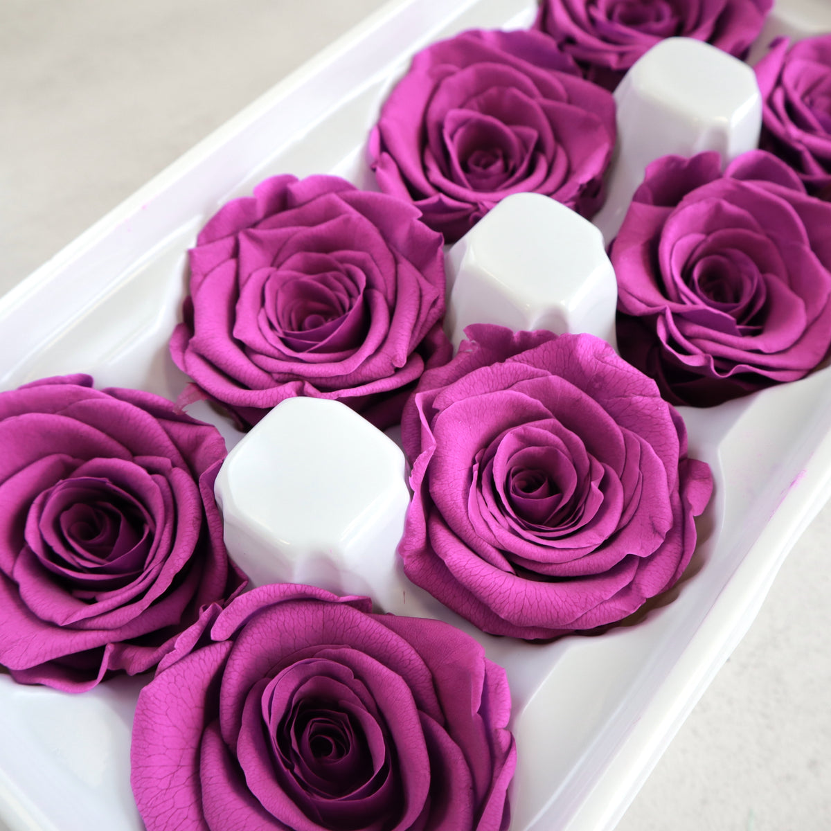 Rose Dark Fuchsia 8 Heads