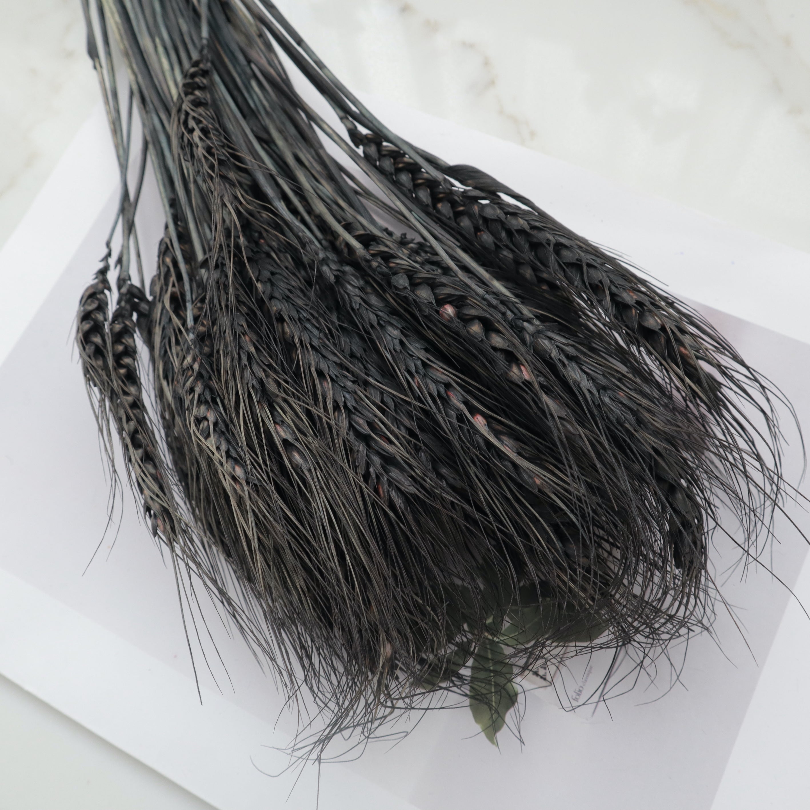 Dried Wheat Black