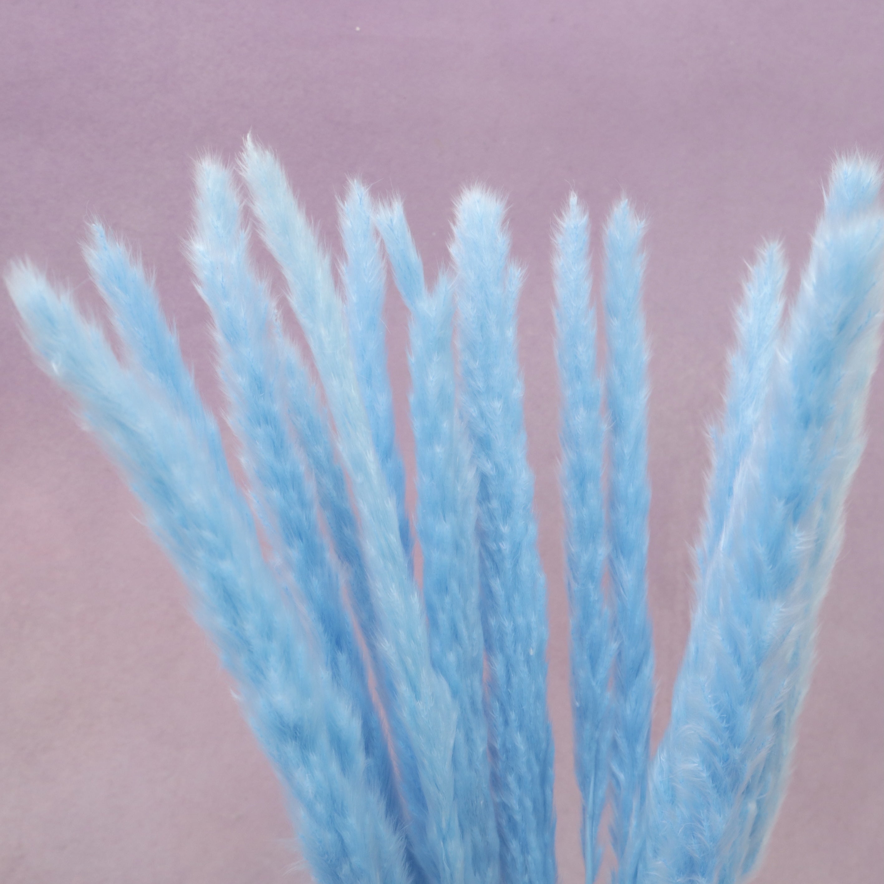 Fluffy Stick Blue