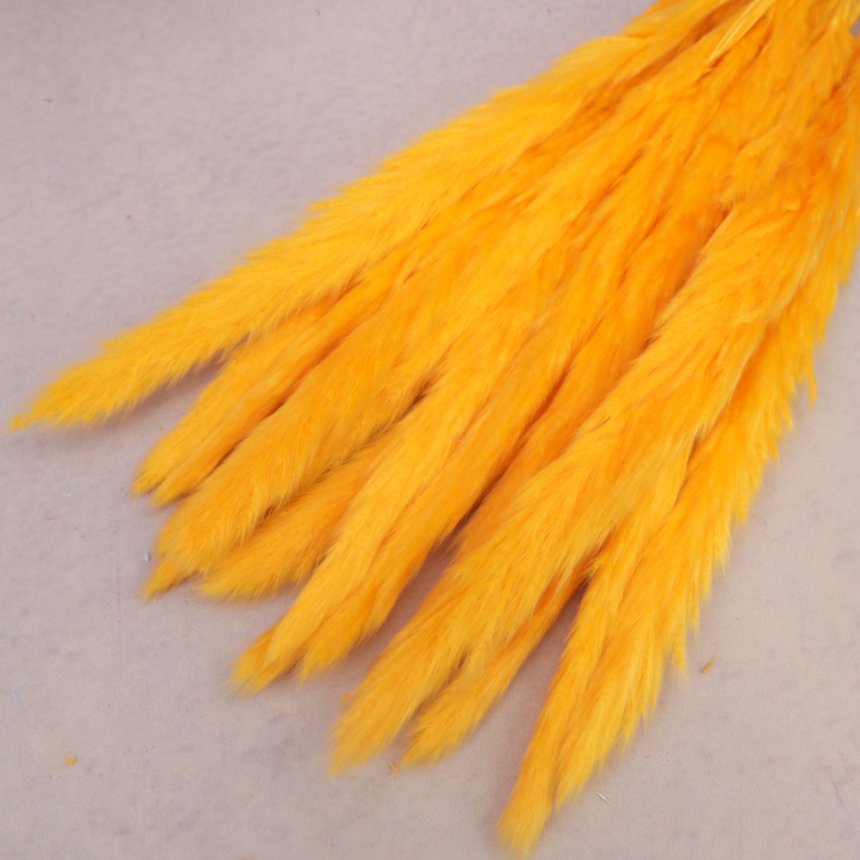Fluffy Stick Orange