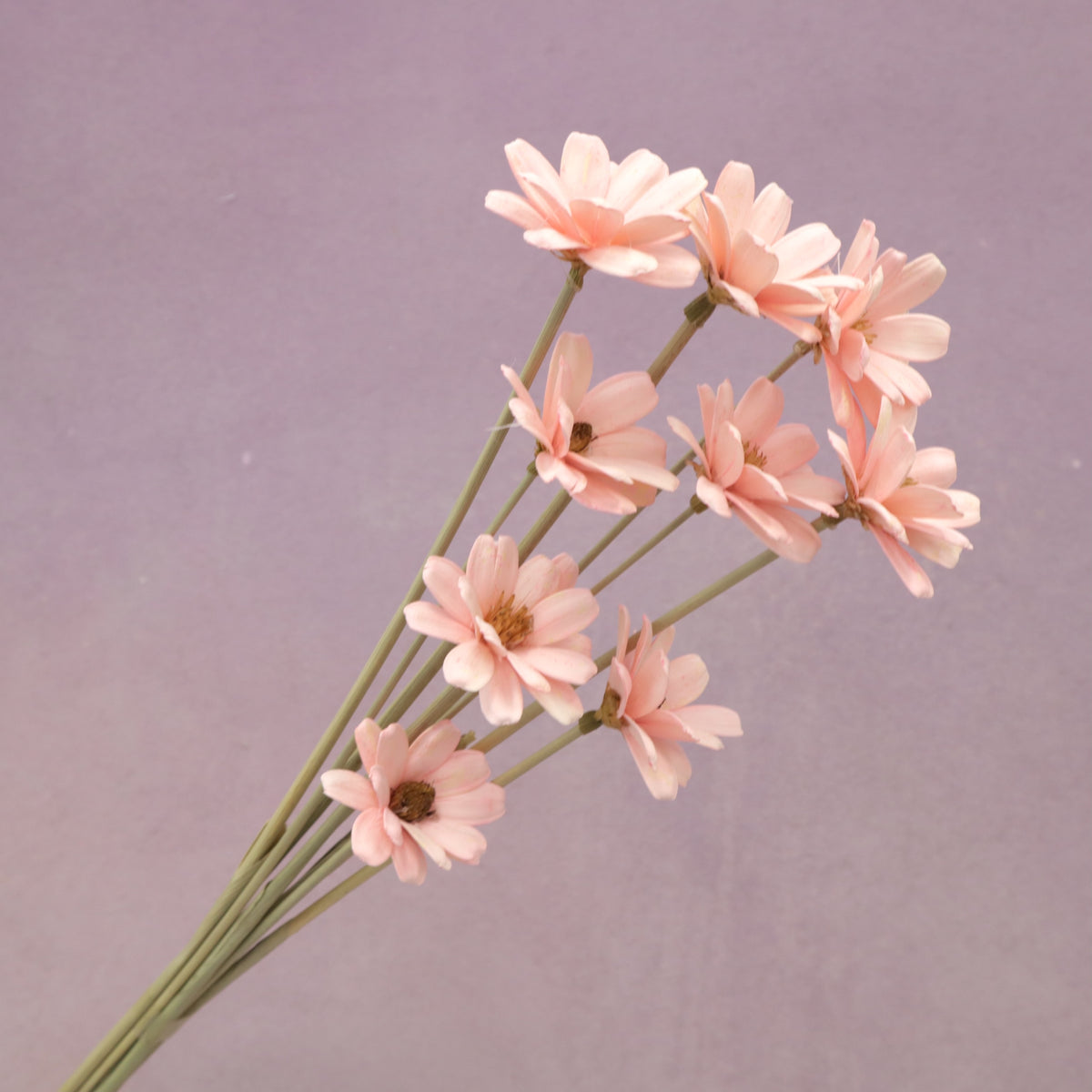 Handmade Daisy Pink