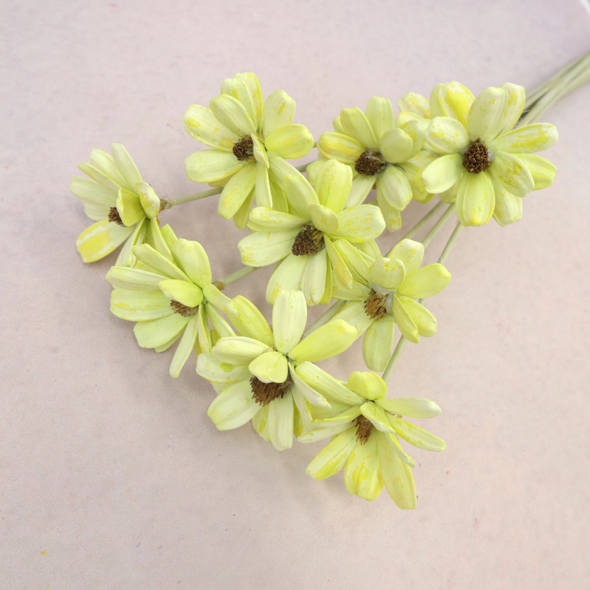 Handmade Daisy Lime