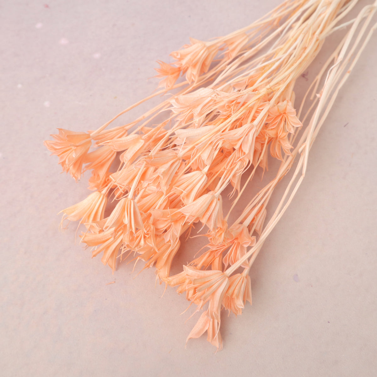 Nigella Peach