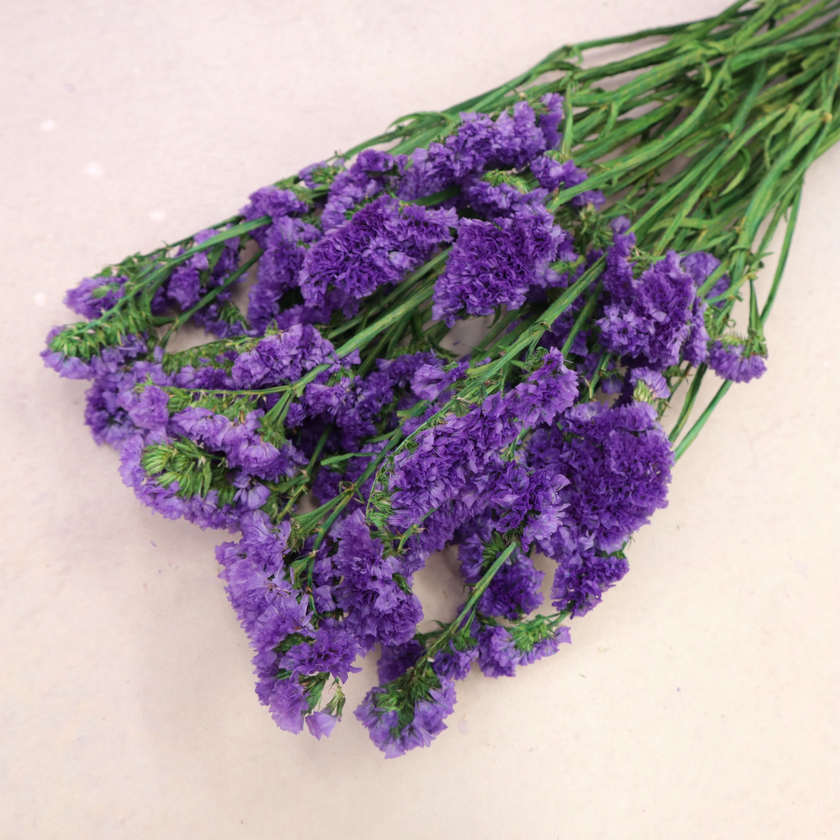 Statice Deep Purple