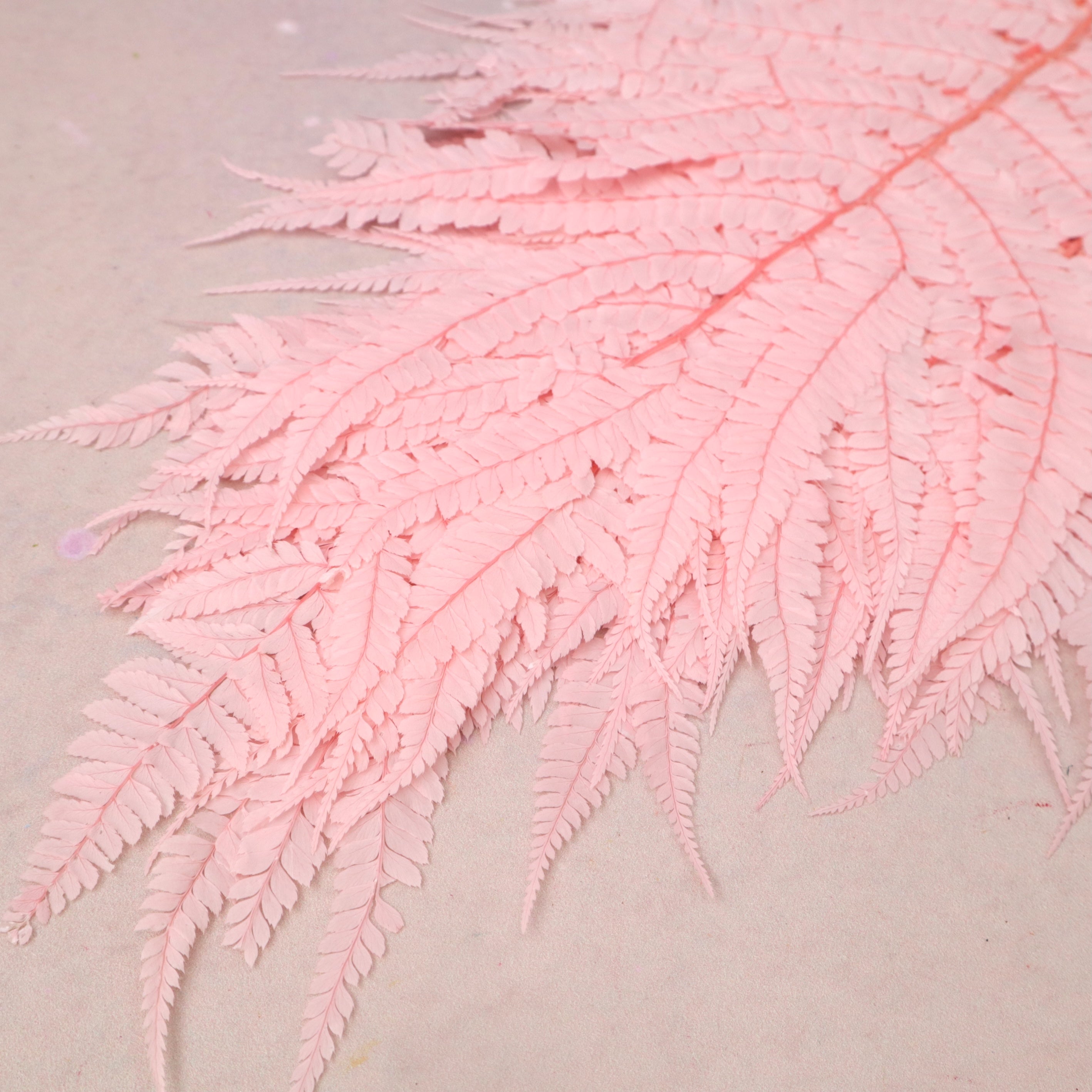 Leather Fern Large Pink