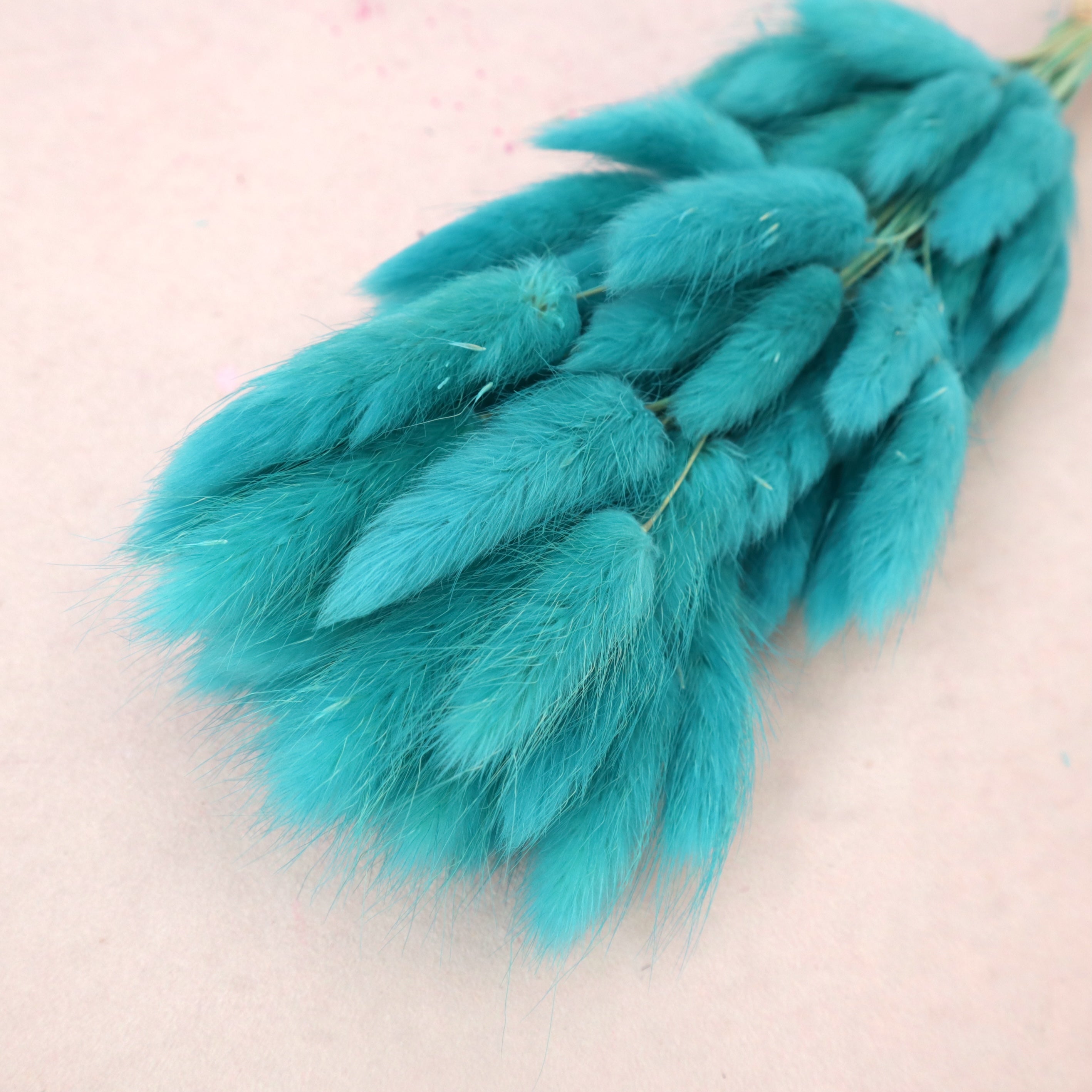 Bunny Tails Aqua