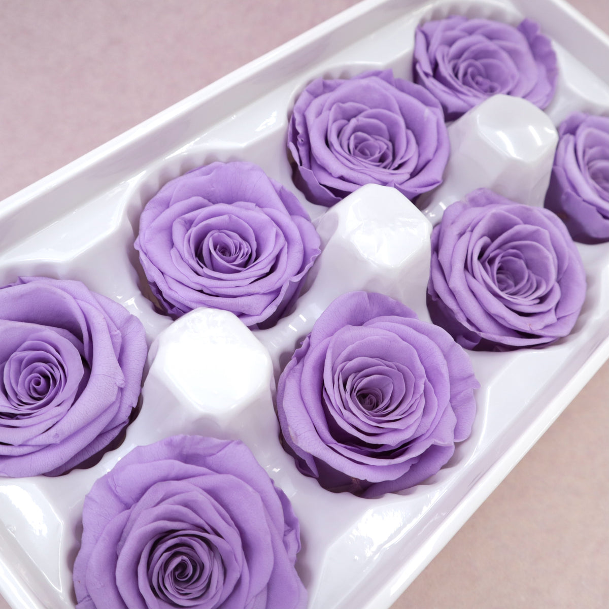 Rose Lilac 8 heads