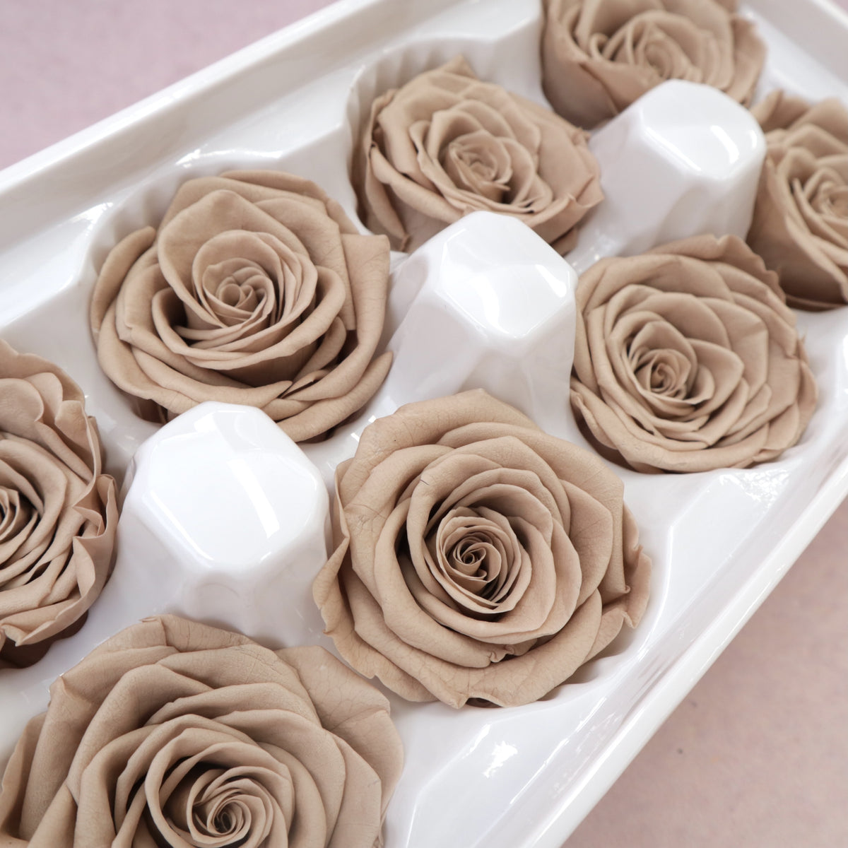 Rose Khaki 8 Heads