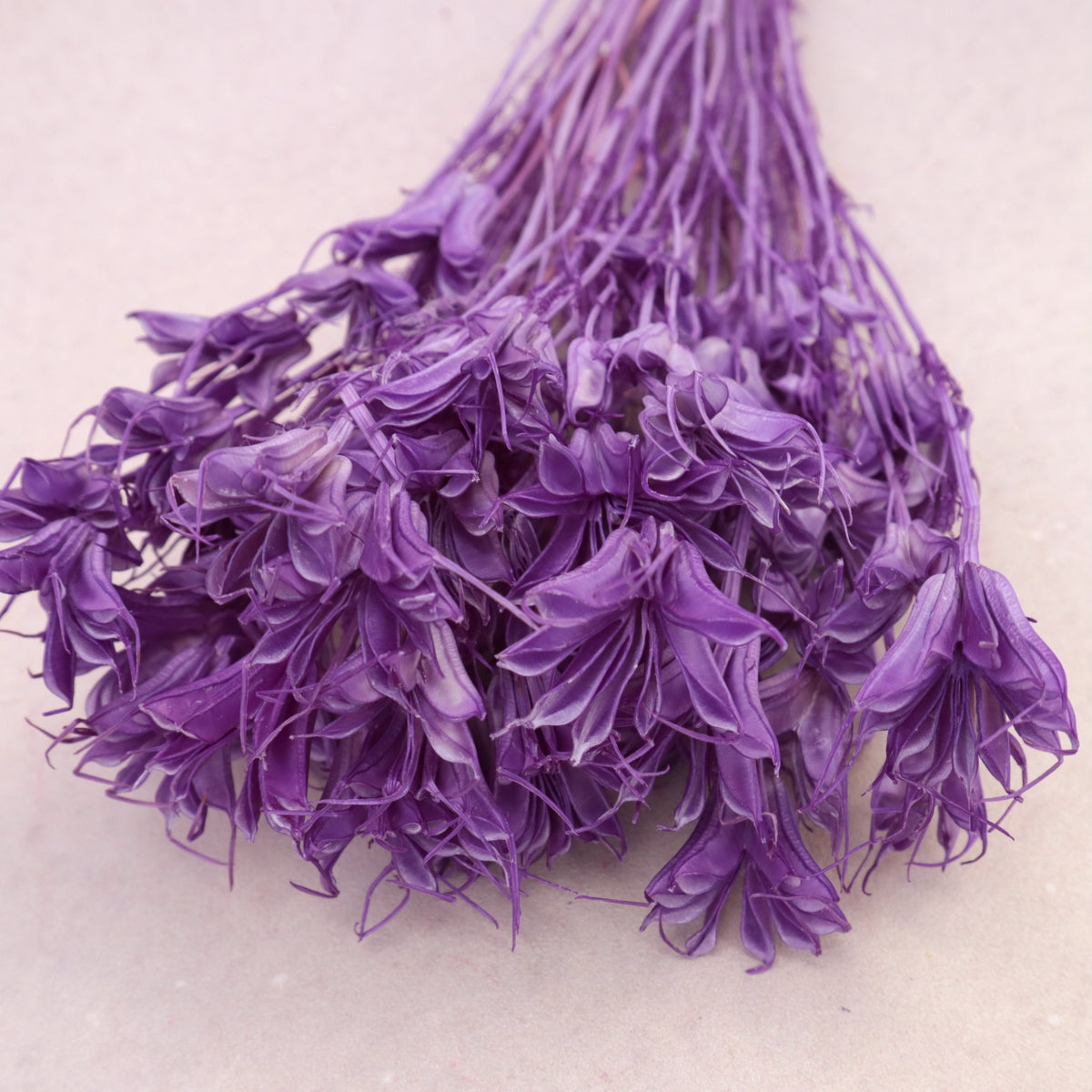 Nigella Lilac