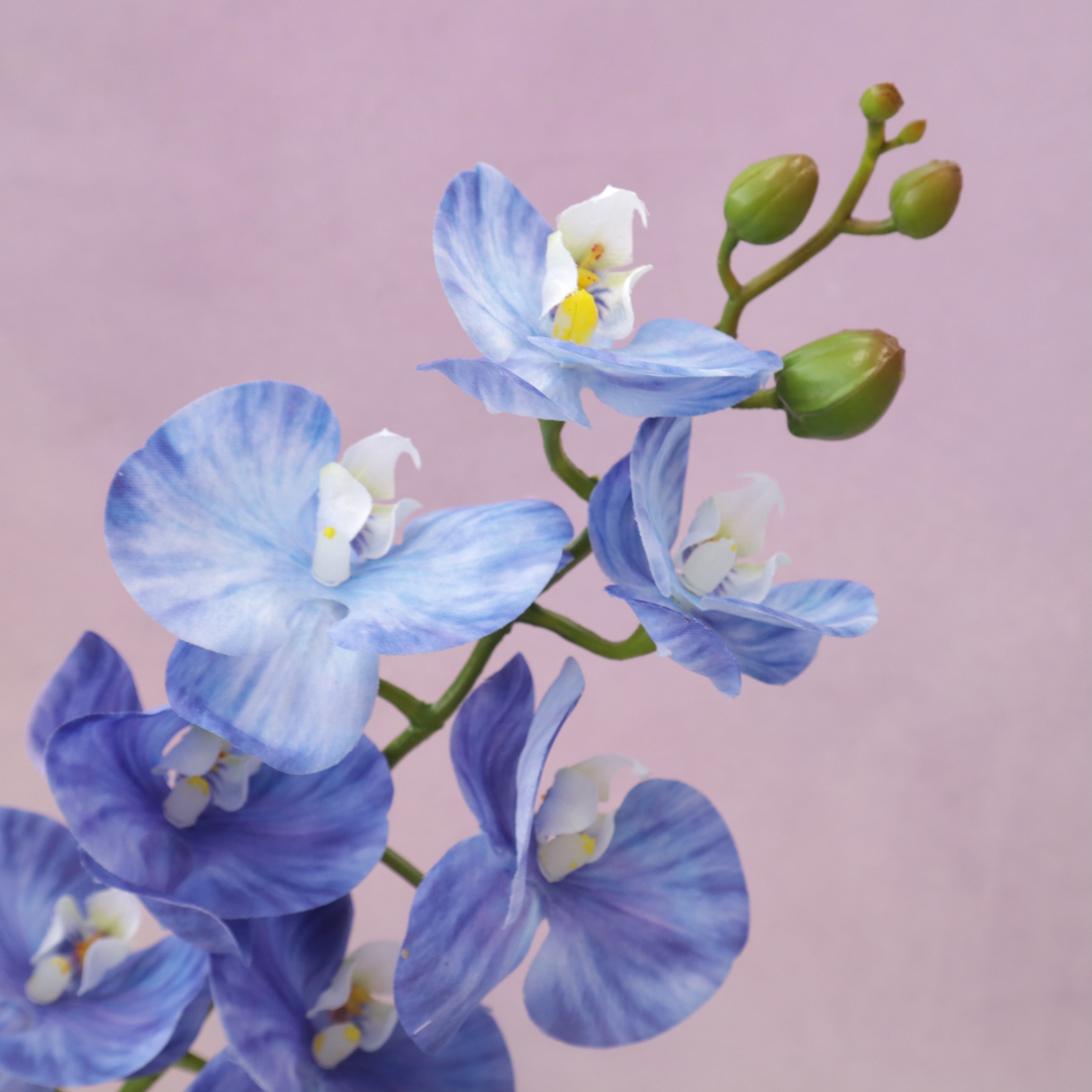 Artificial Real Touch Orchid Small (41)