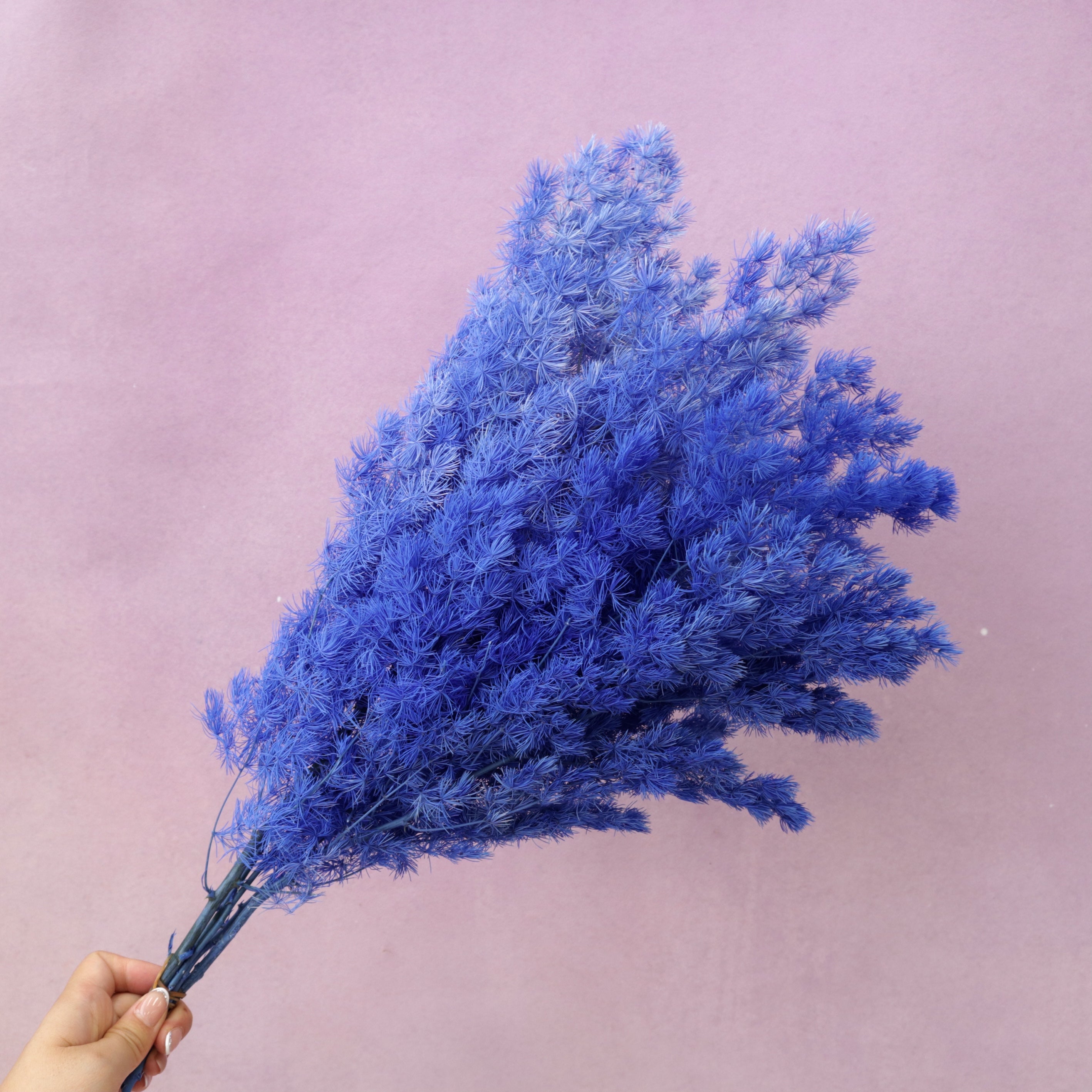 Ming Fern Royal Blue