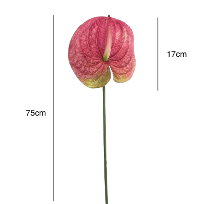 Artificial Anthurium White
