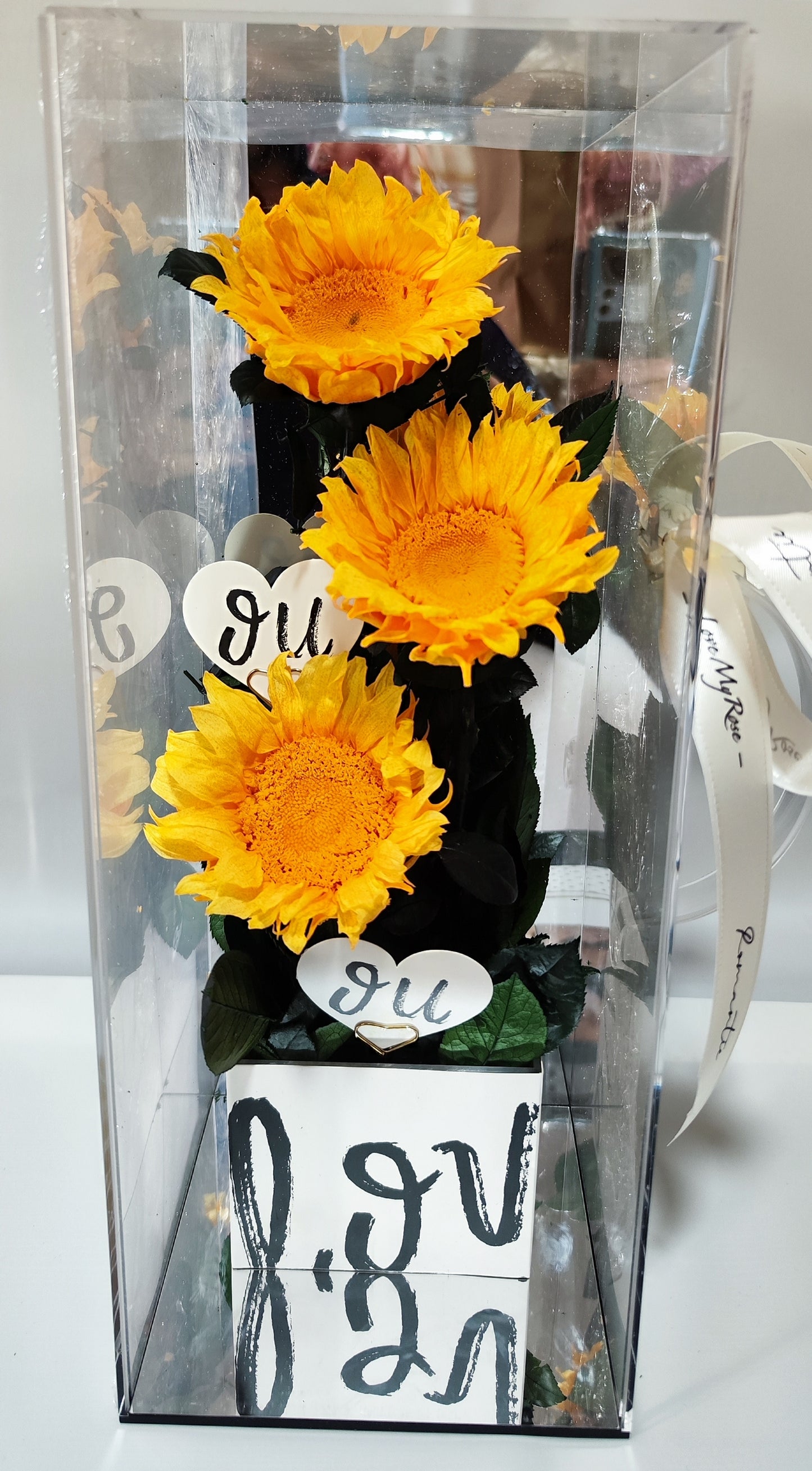 Triple Delight (Golden Sunflower)