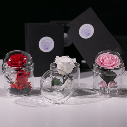Rose Capsule
