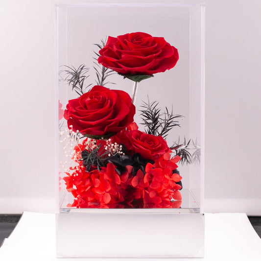 Eternal Scarlet Rose Box (Red)