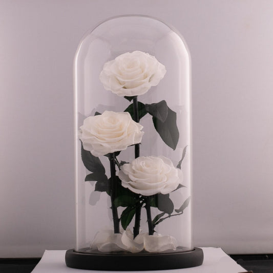 Beauty and the Beast (Large 3 White Rose)