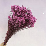 Statice Limonium Sinuatum Hot Pink