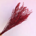 Misty Cerise Red