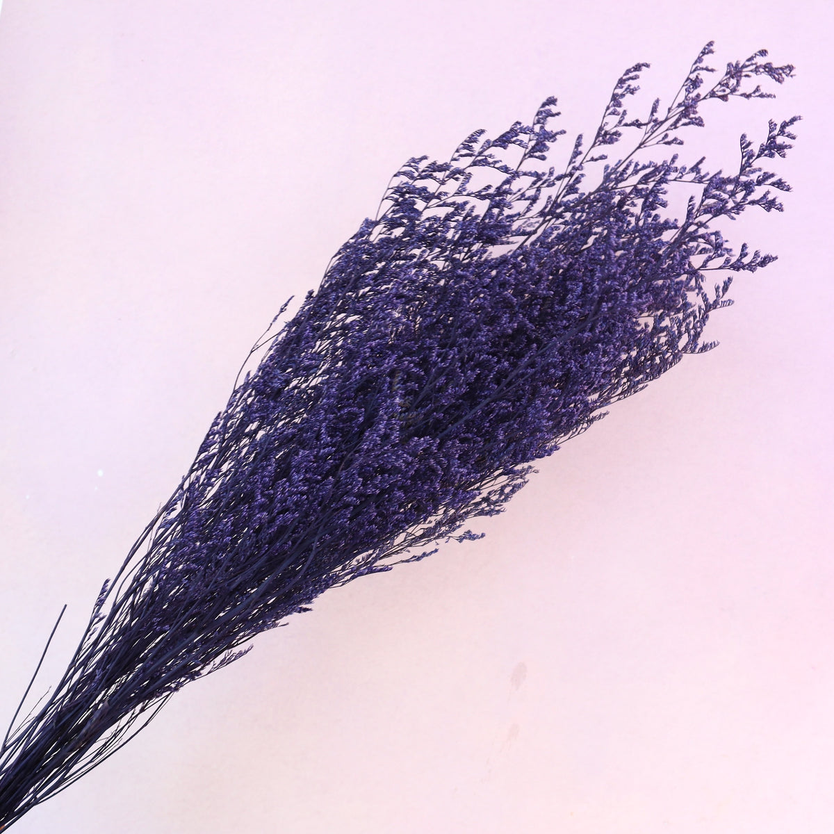 Misty Royal Purple