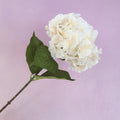 Silk Artificial Hydrangea Bigleaf Creamy White