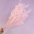Misty Bleached Baby Pink