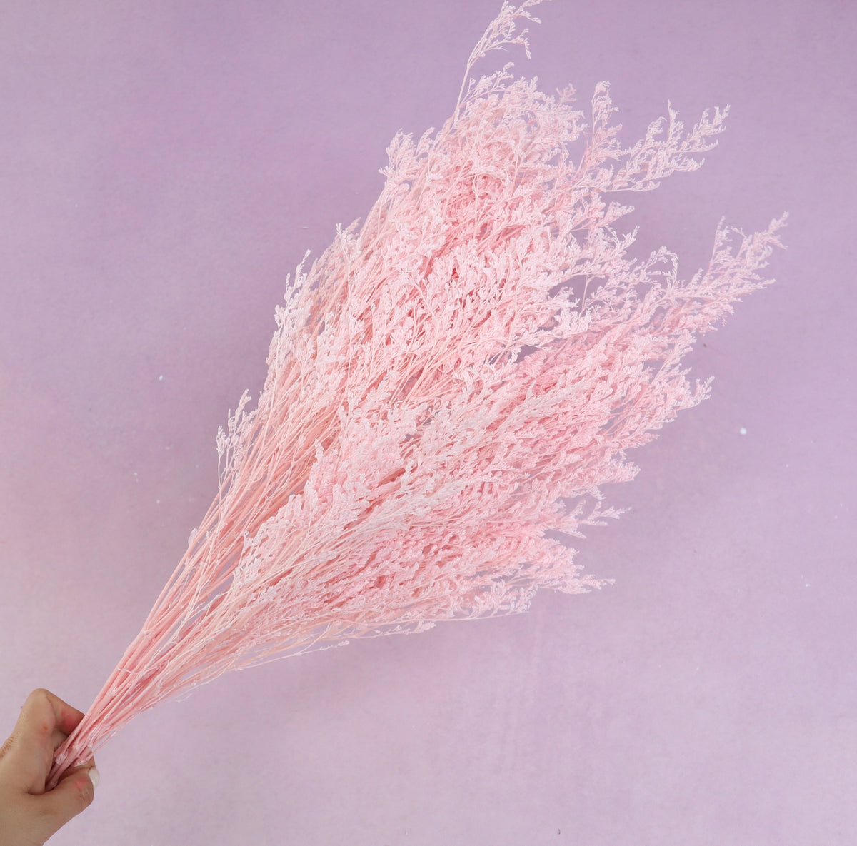 Misty Bleached Baby Pink
