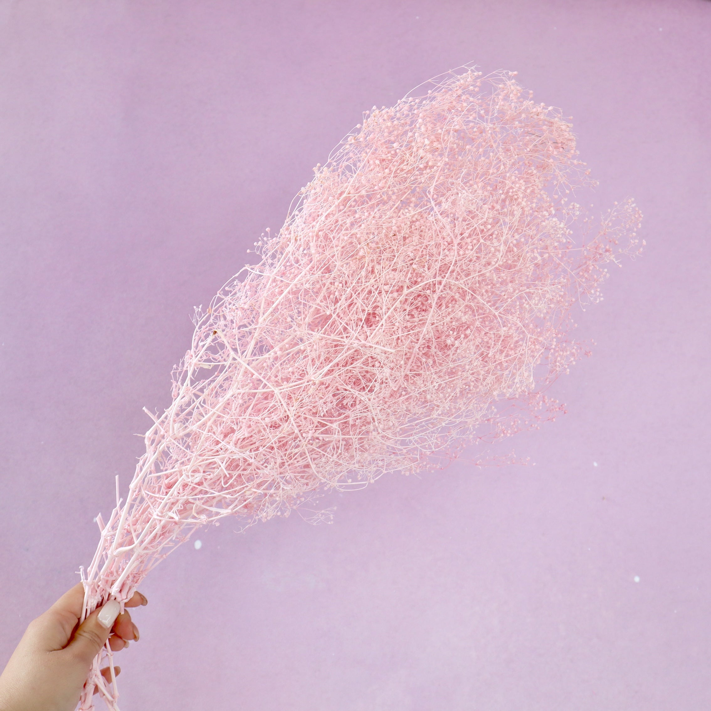 Snowy Baby's Breath Soft Pink