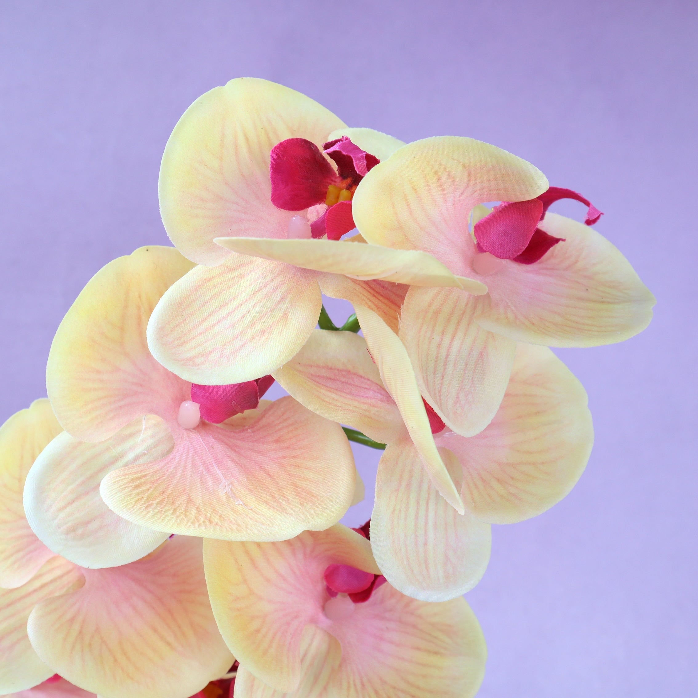 Artificial Real Touch Orchid (48)