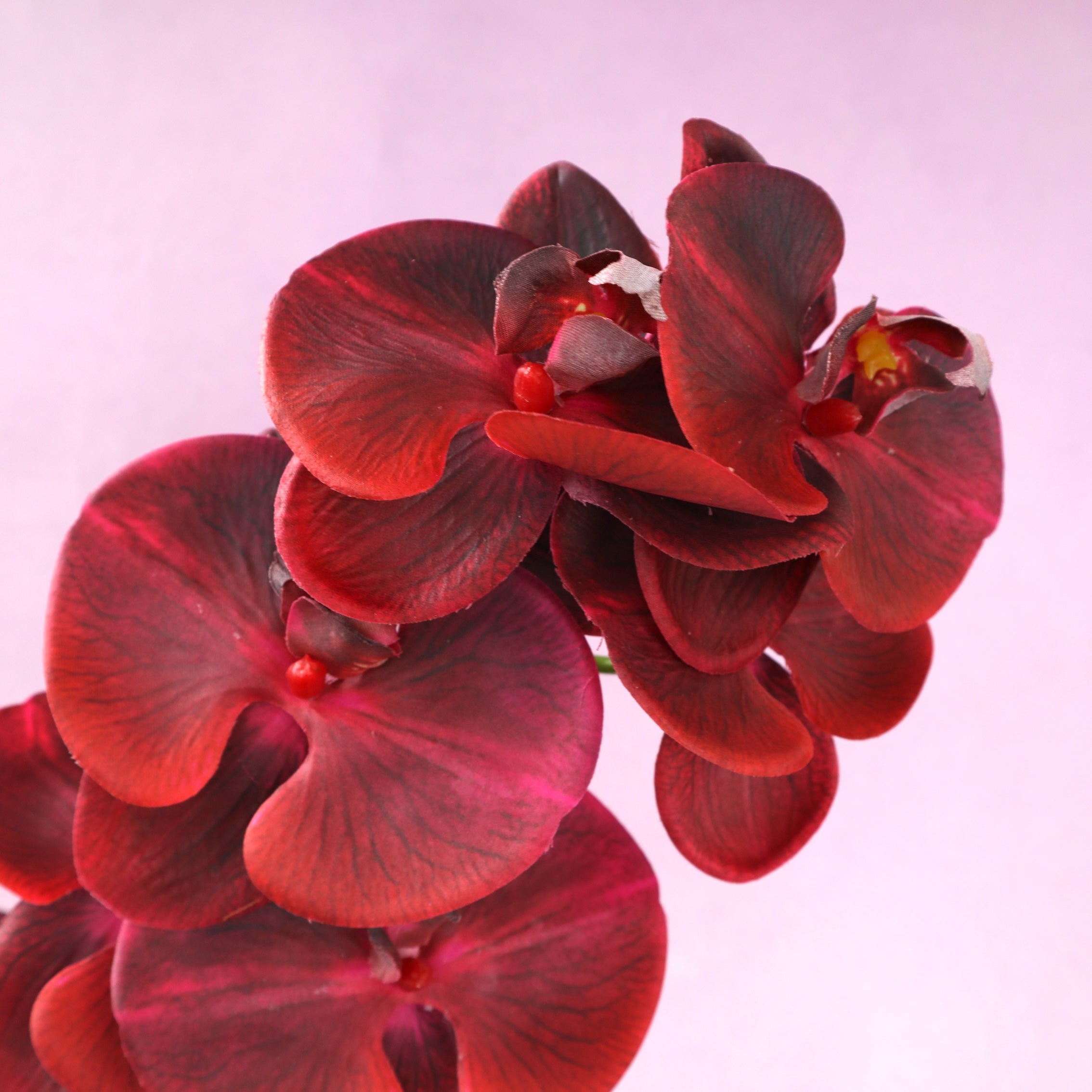 Artificial Real Touch Orchid (44)