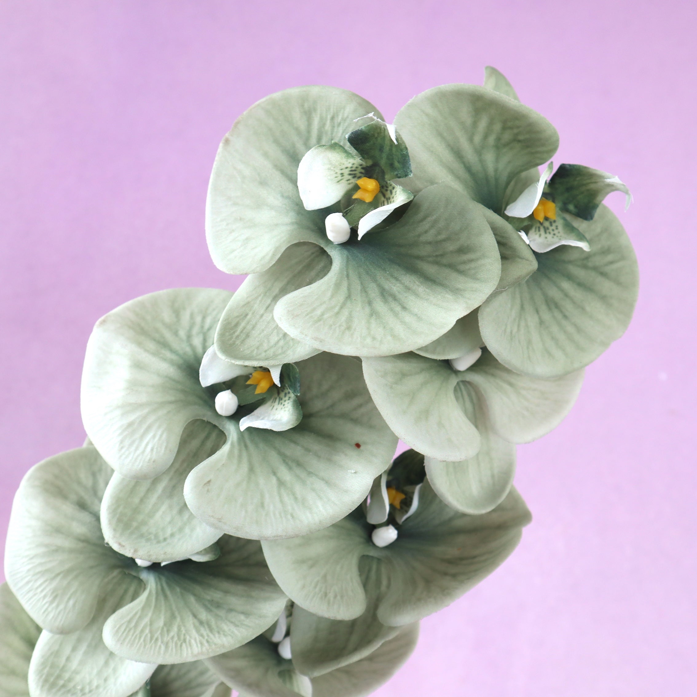 Artificial Real Touch Orchid (43)