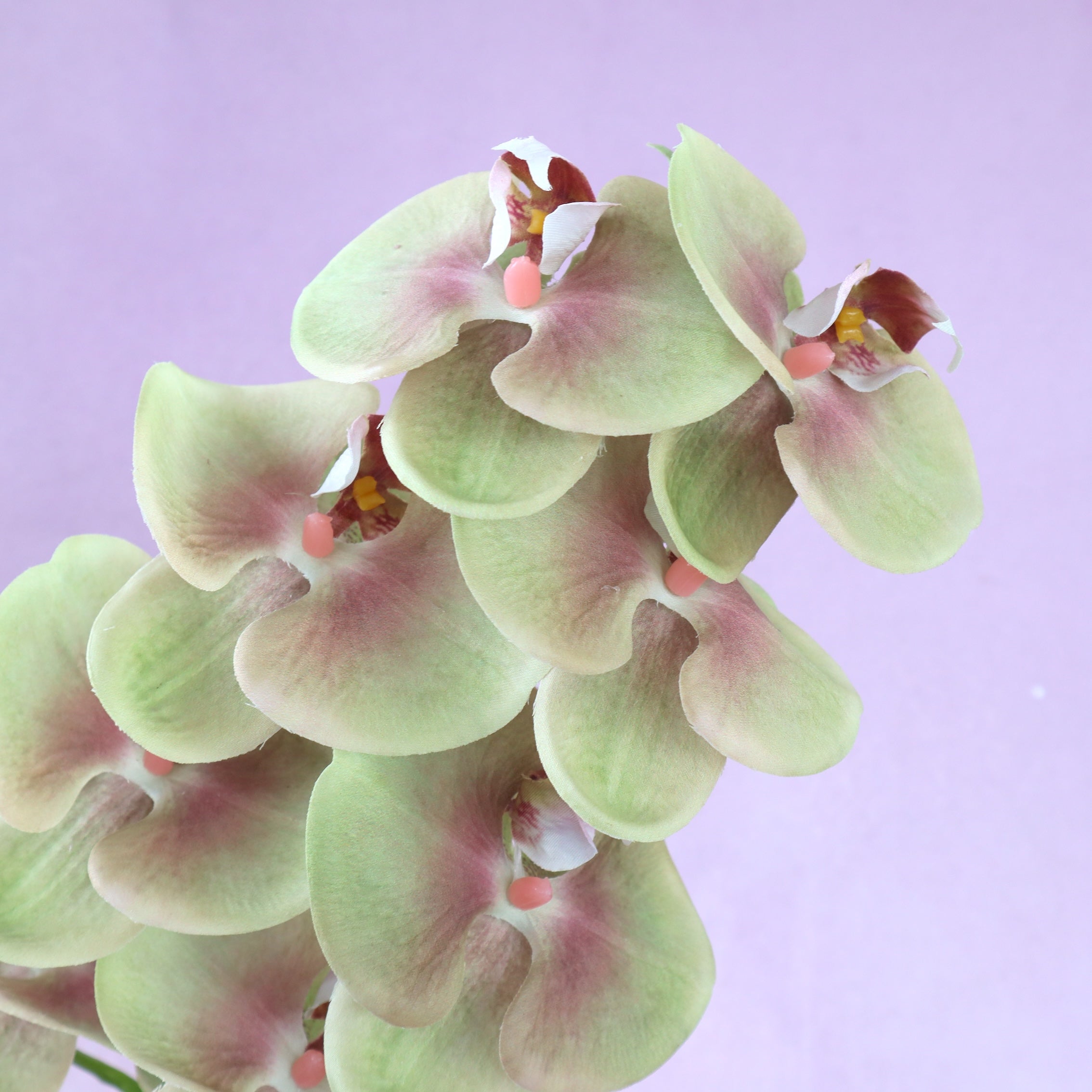 Artificial Real Touch Orchid (46)