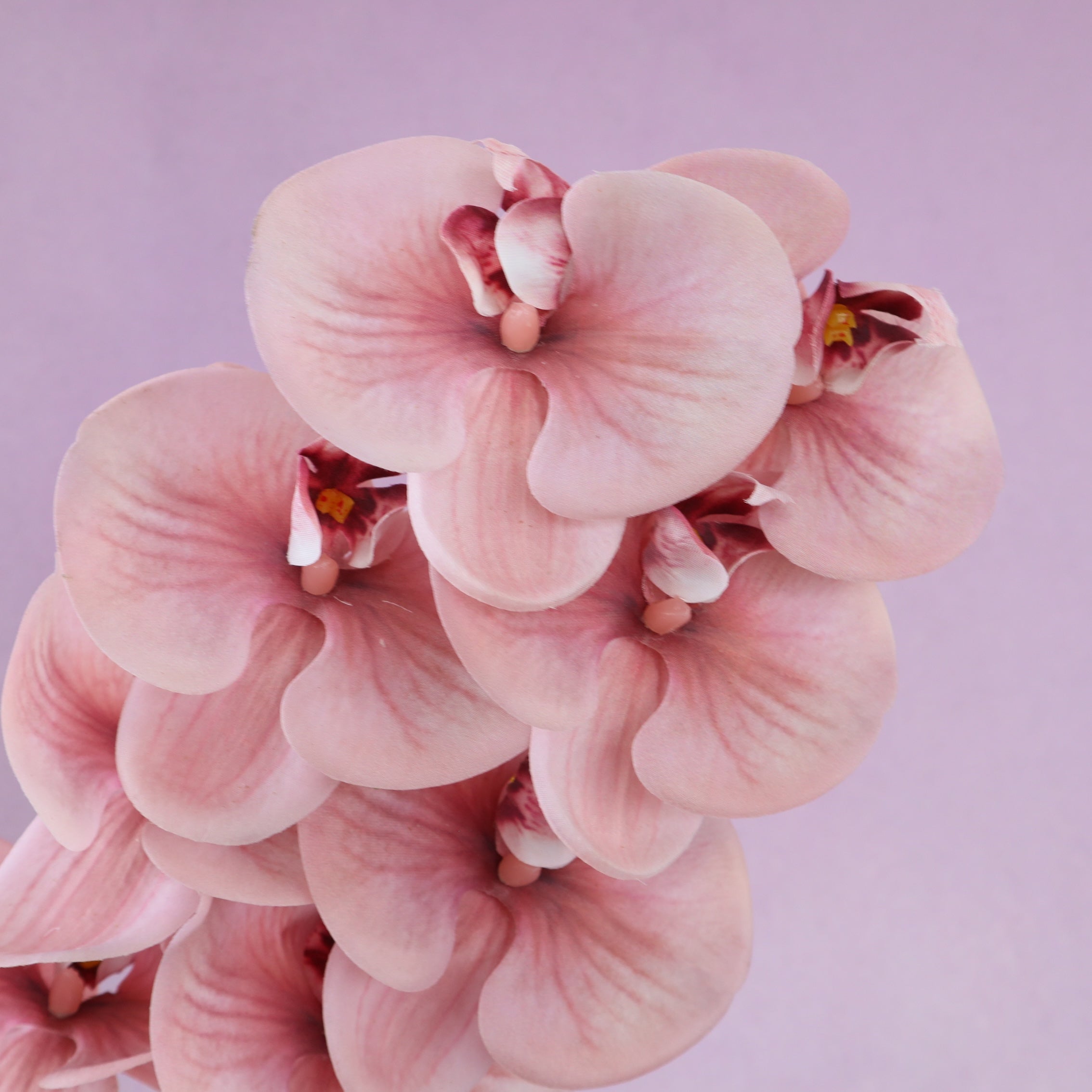 Artificial Real Touch Orchid (51)