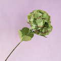 Silk Artificial Hydrangea Bigleaf Natural Green