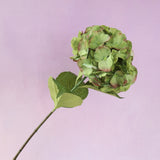 Silk Artificial Hydrangea Bigleaf Natural Green